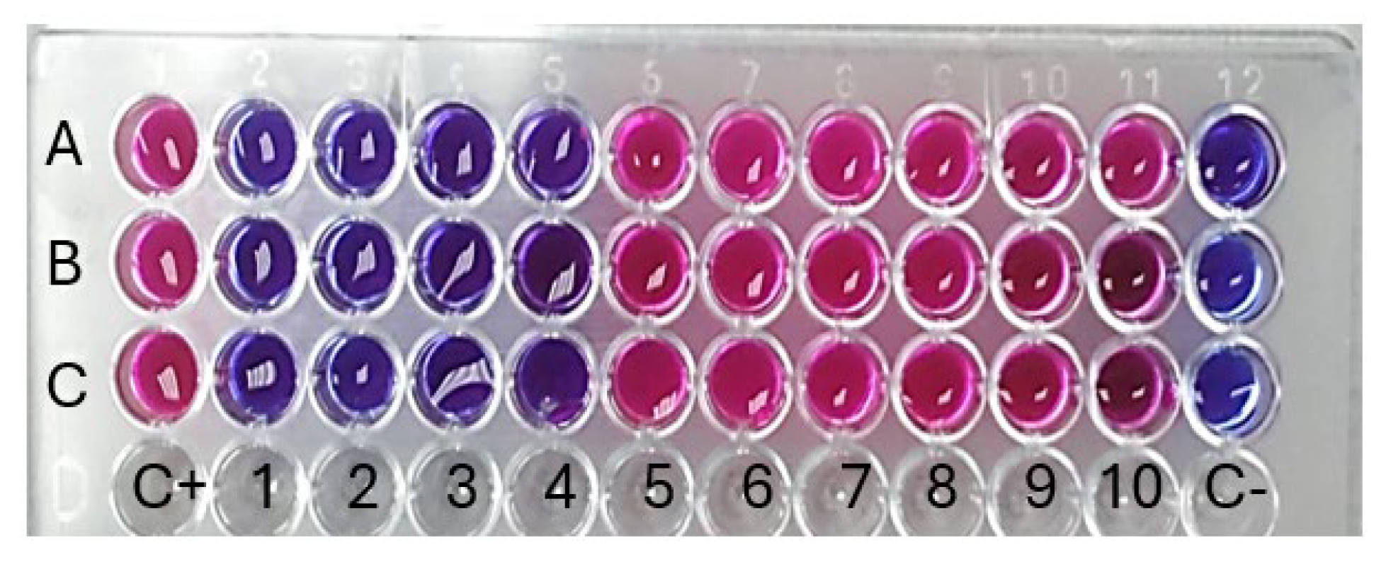 Pharmaceuticals 17 00667 g007