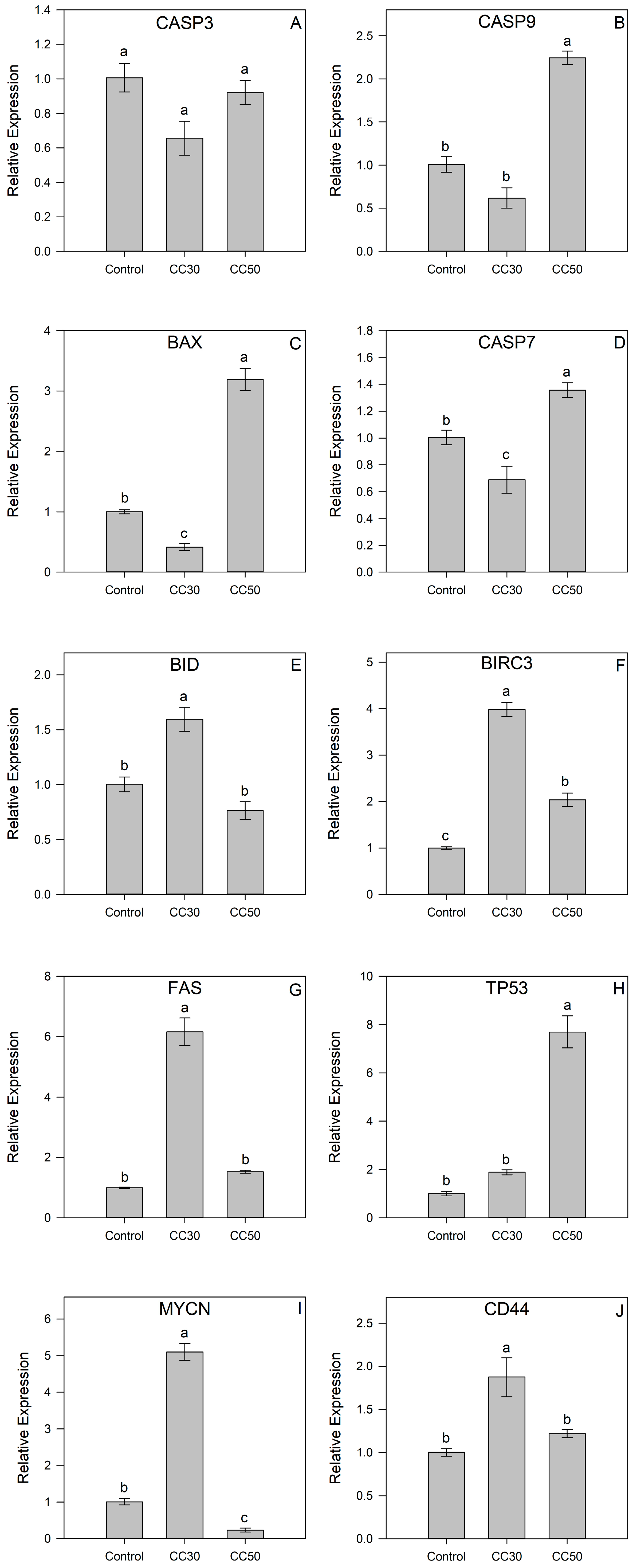 Pharmaceuticals 17 00673 g009