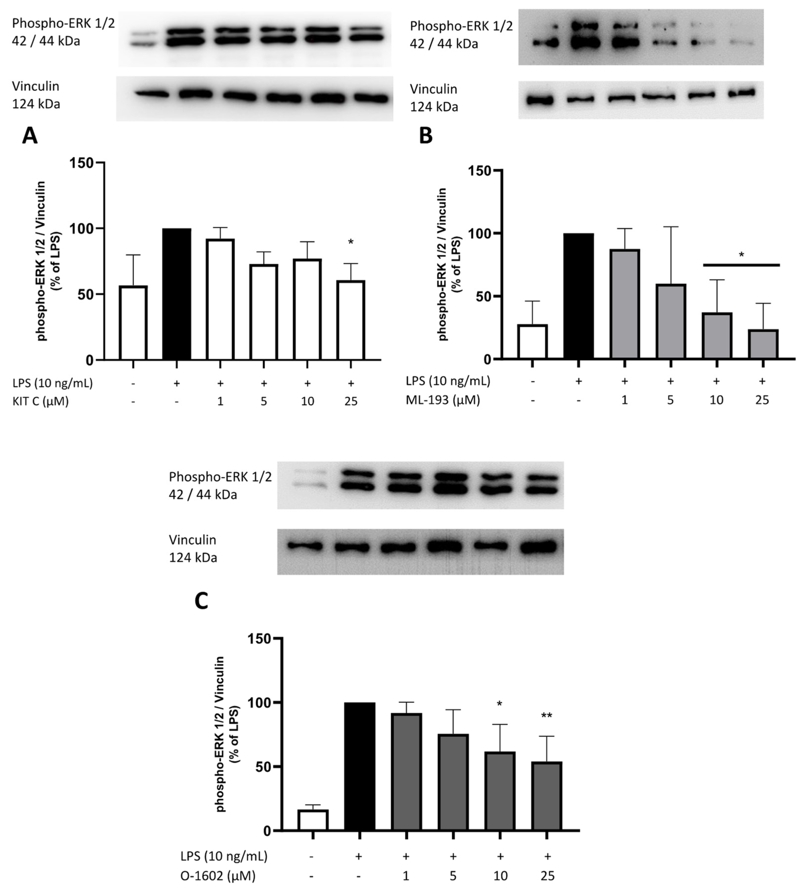 Pharmaceuticals 17 00674 g010 Pharmaceuticals 17 00674 g010