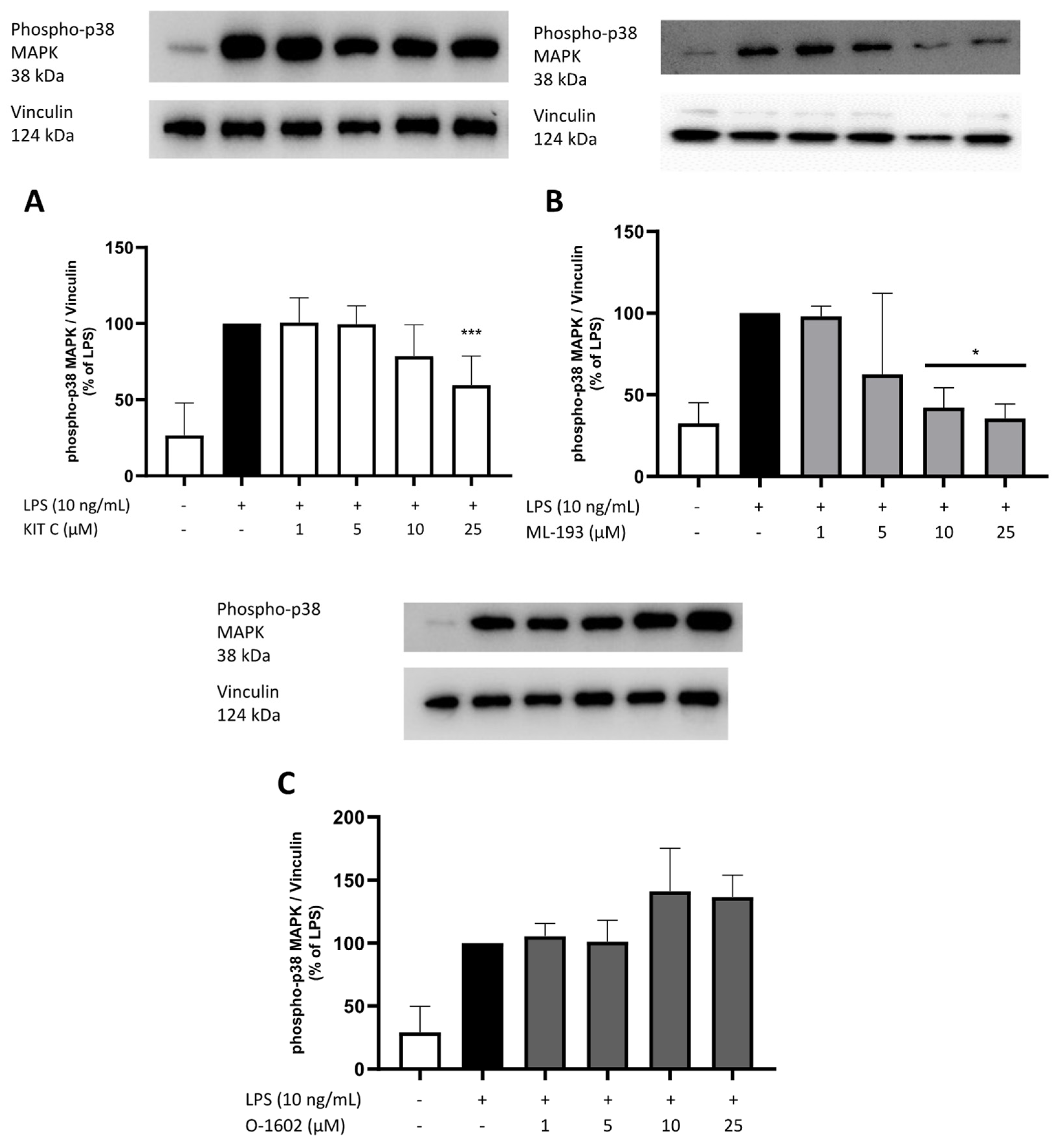 Pharmaceuticals 17 00674 g011 Pharmaceuticals 17 00674 g011