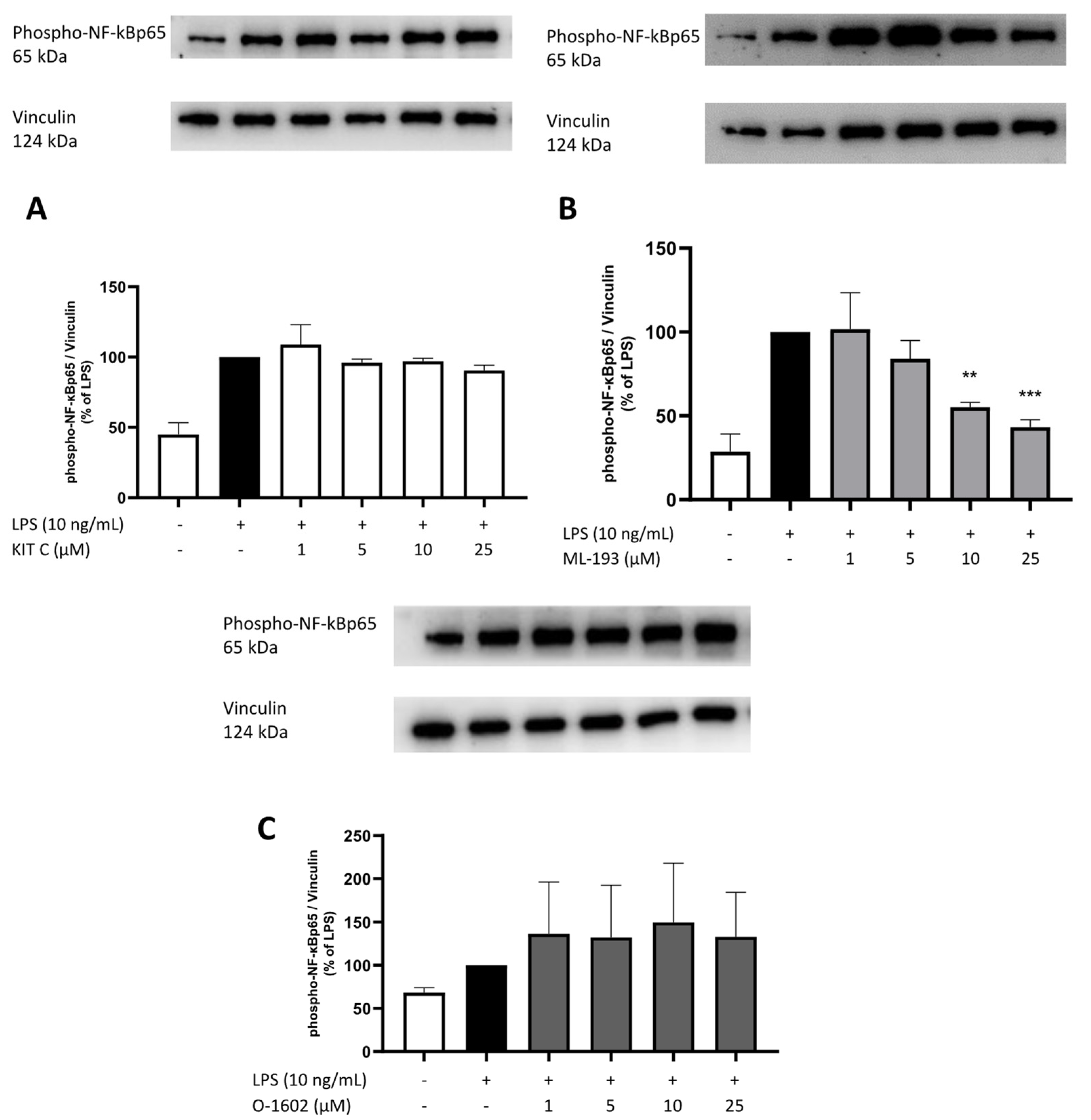 Pharmaceuticals 17 00674 g012 Pharmaceuticals 17 00674 g012