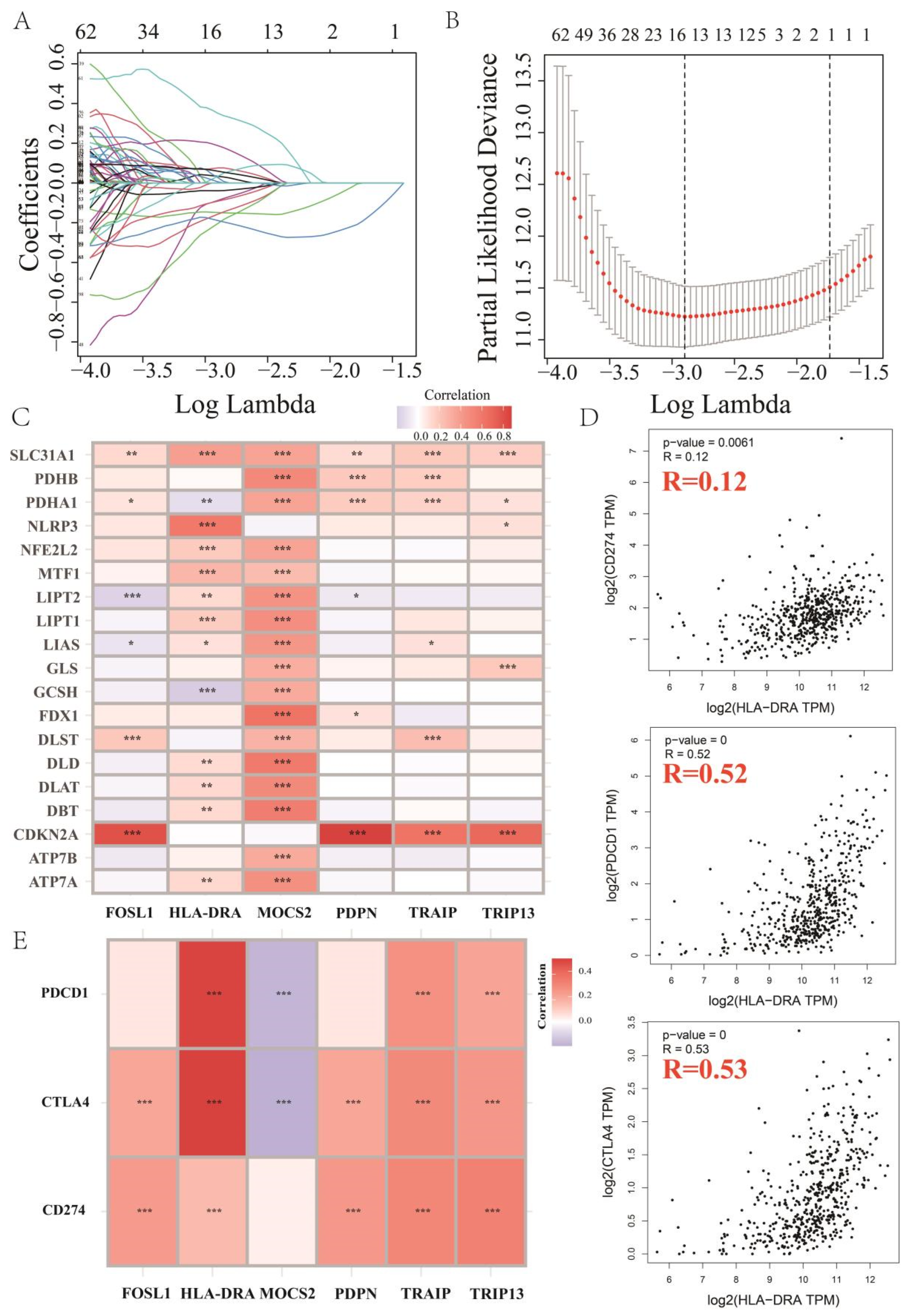 Pharmaceuticals 17 00678 g001