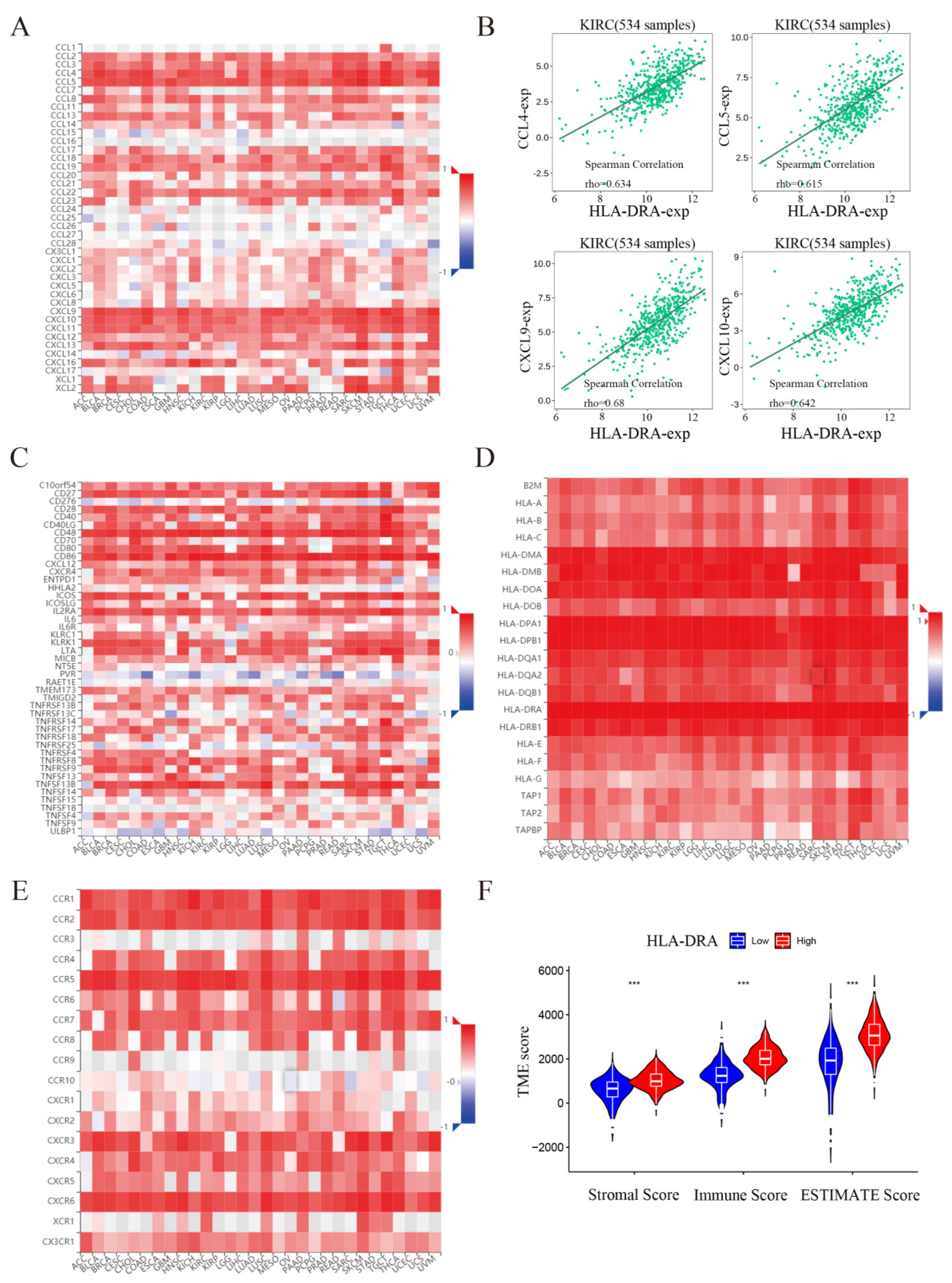 Pharmaceuticals 17 00678 g004