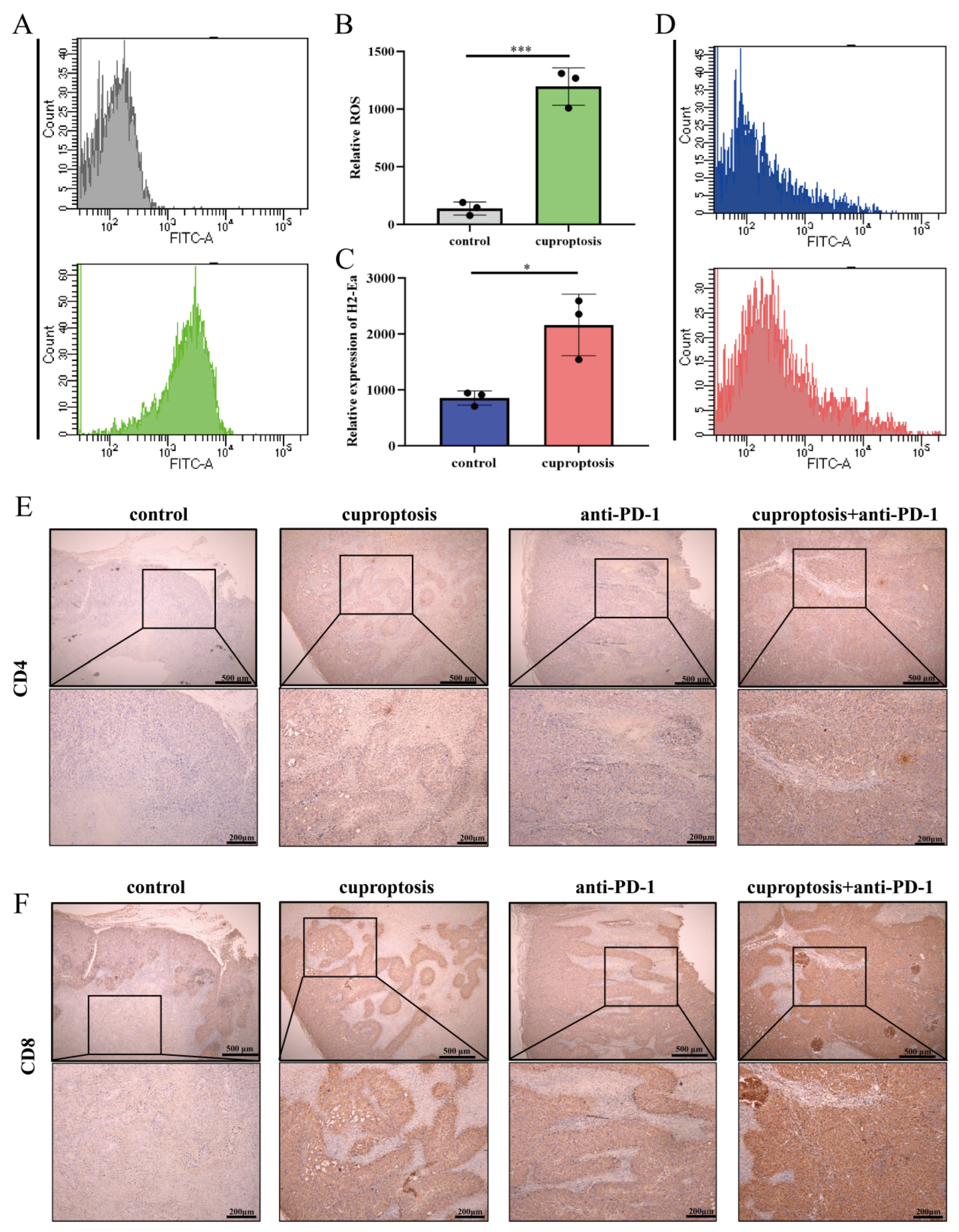 Pharmaceuticals 17 00678 g007