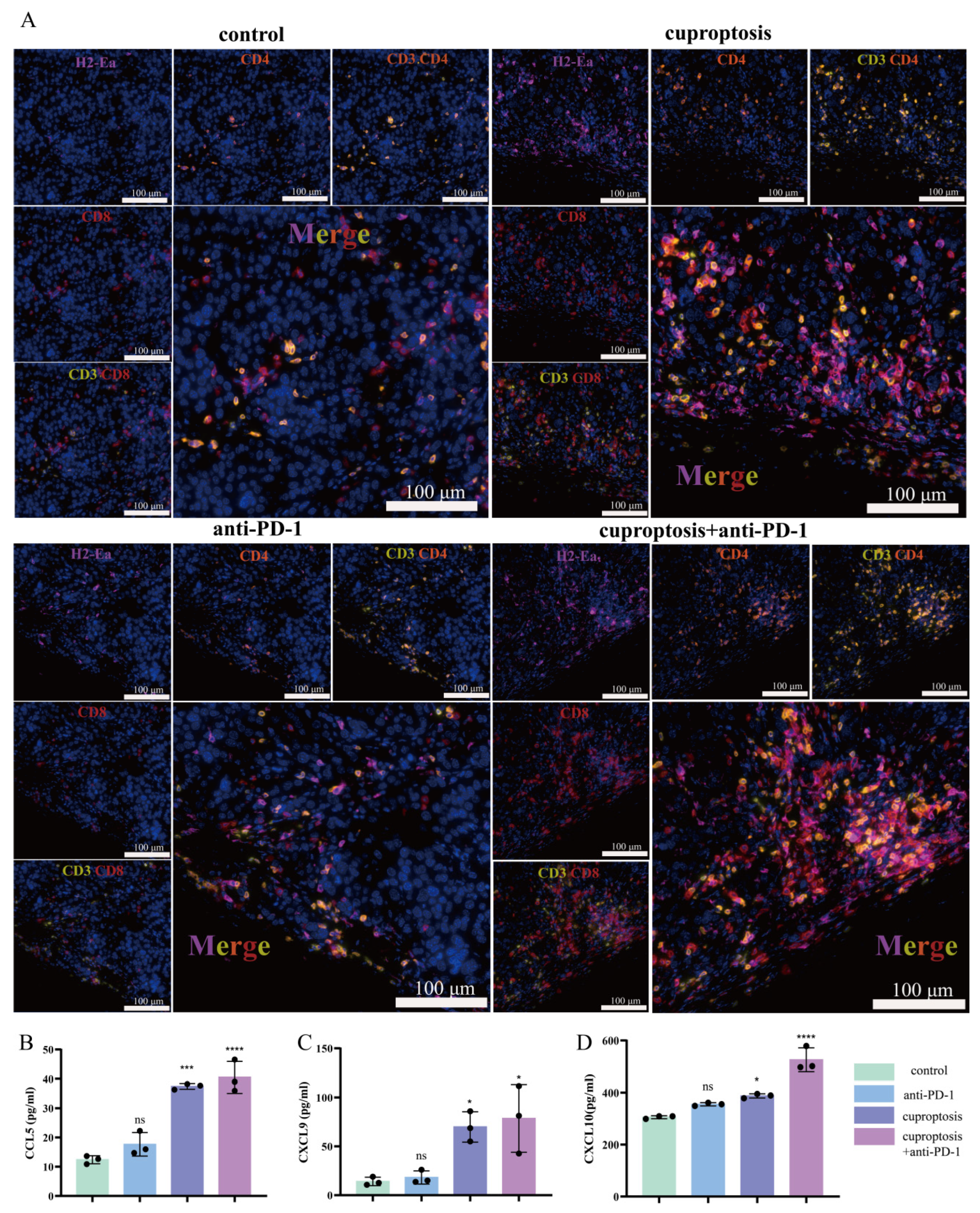 Pharmaceuticals 17 00678 g009