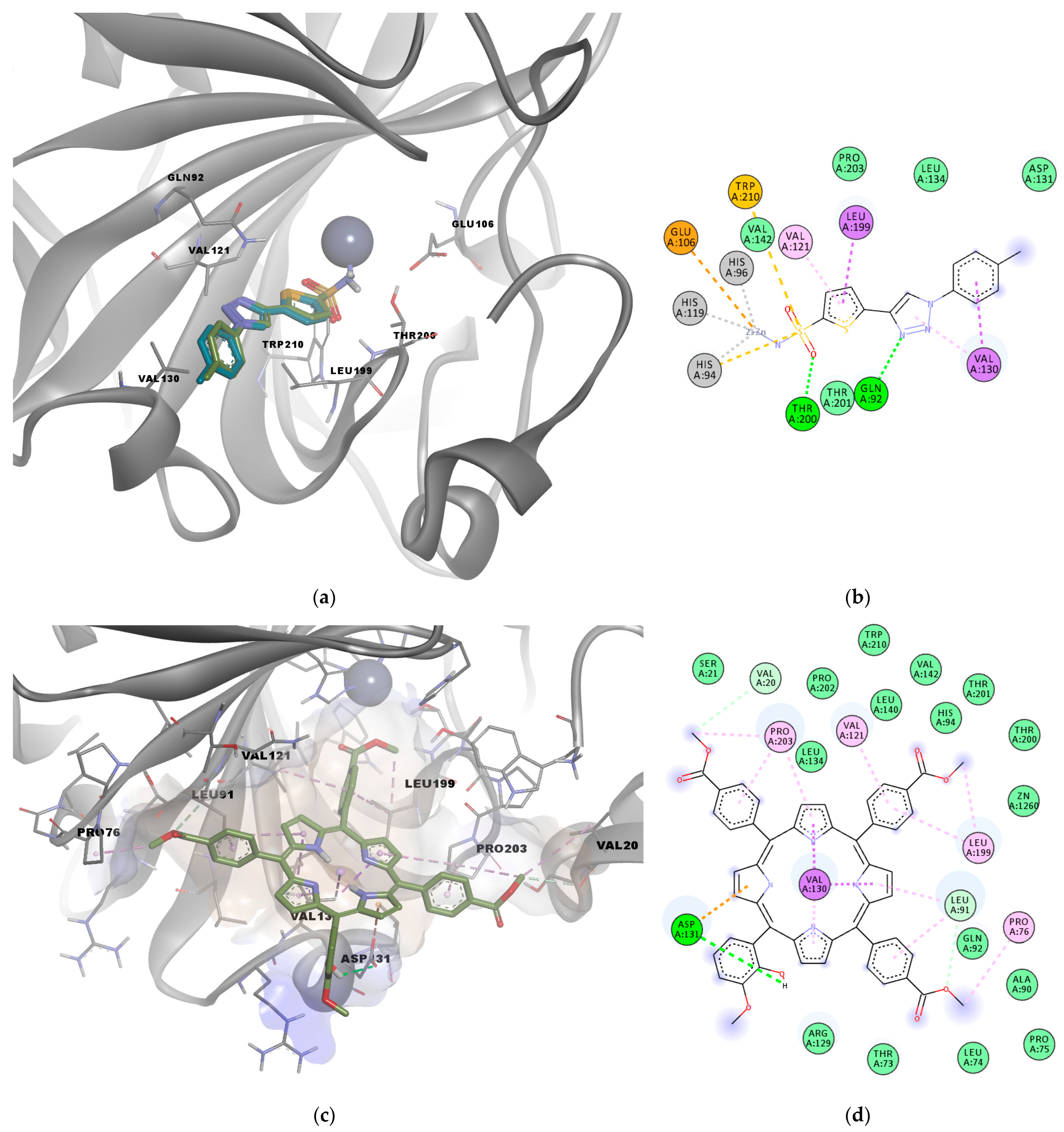 Pharmaceuticals 17 00688 g003