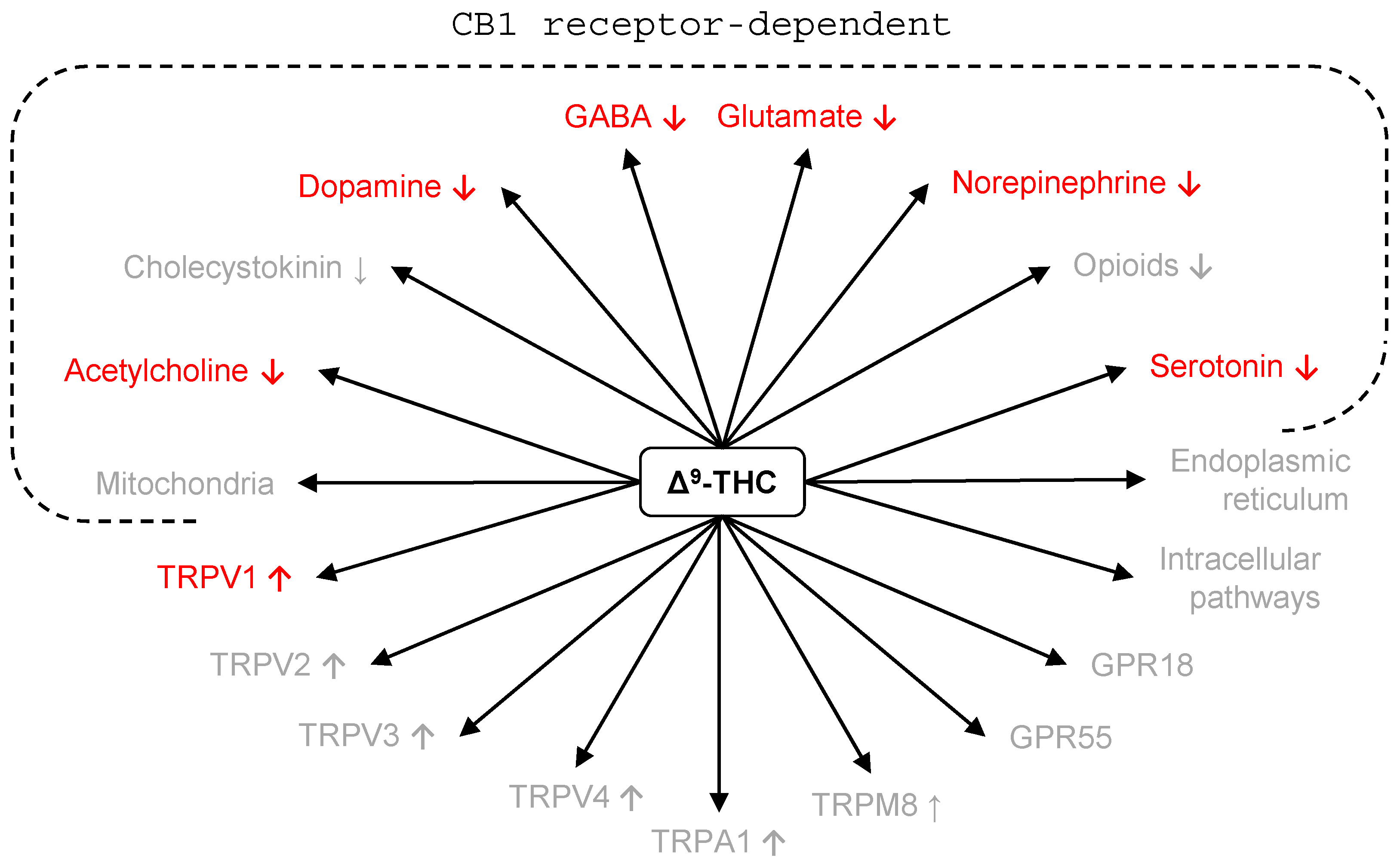 Pharmaceuticals 17 00689 g002
