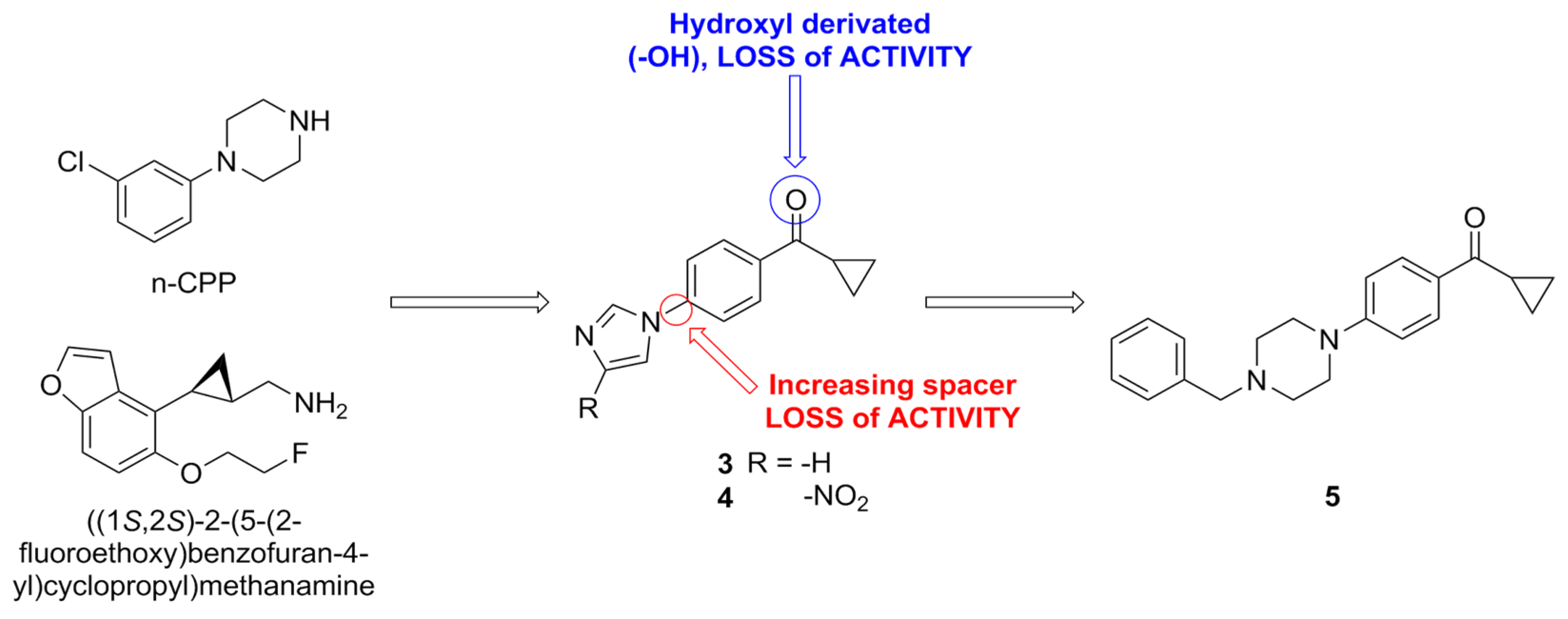 Pharmaceuticals 17 00695 g008