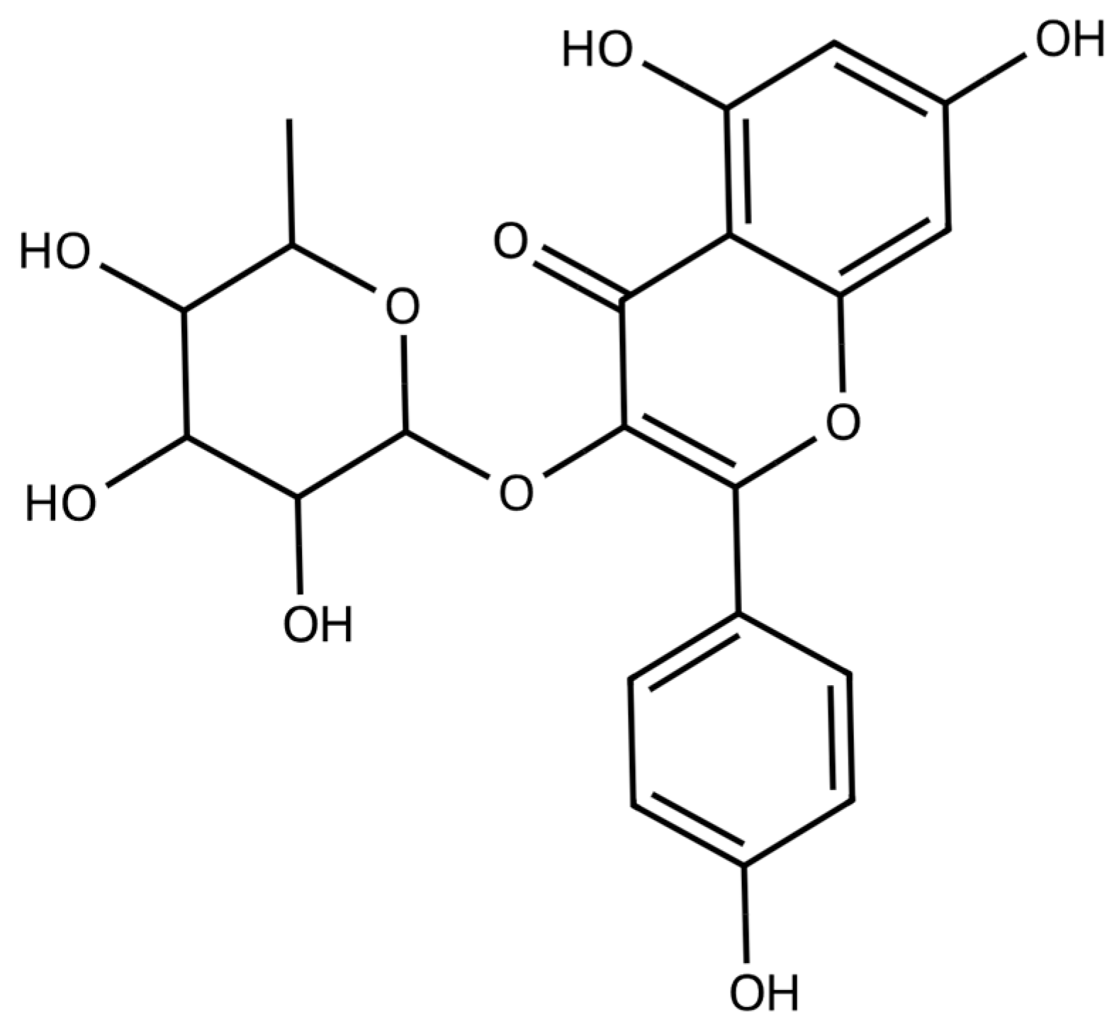 Pharmaceuticals 17 00701 g001