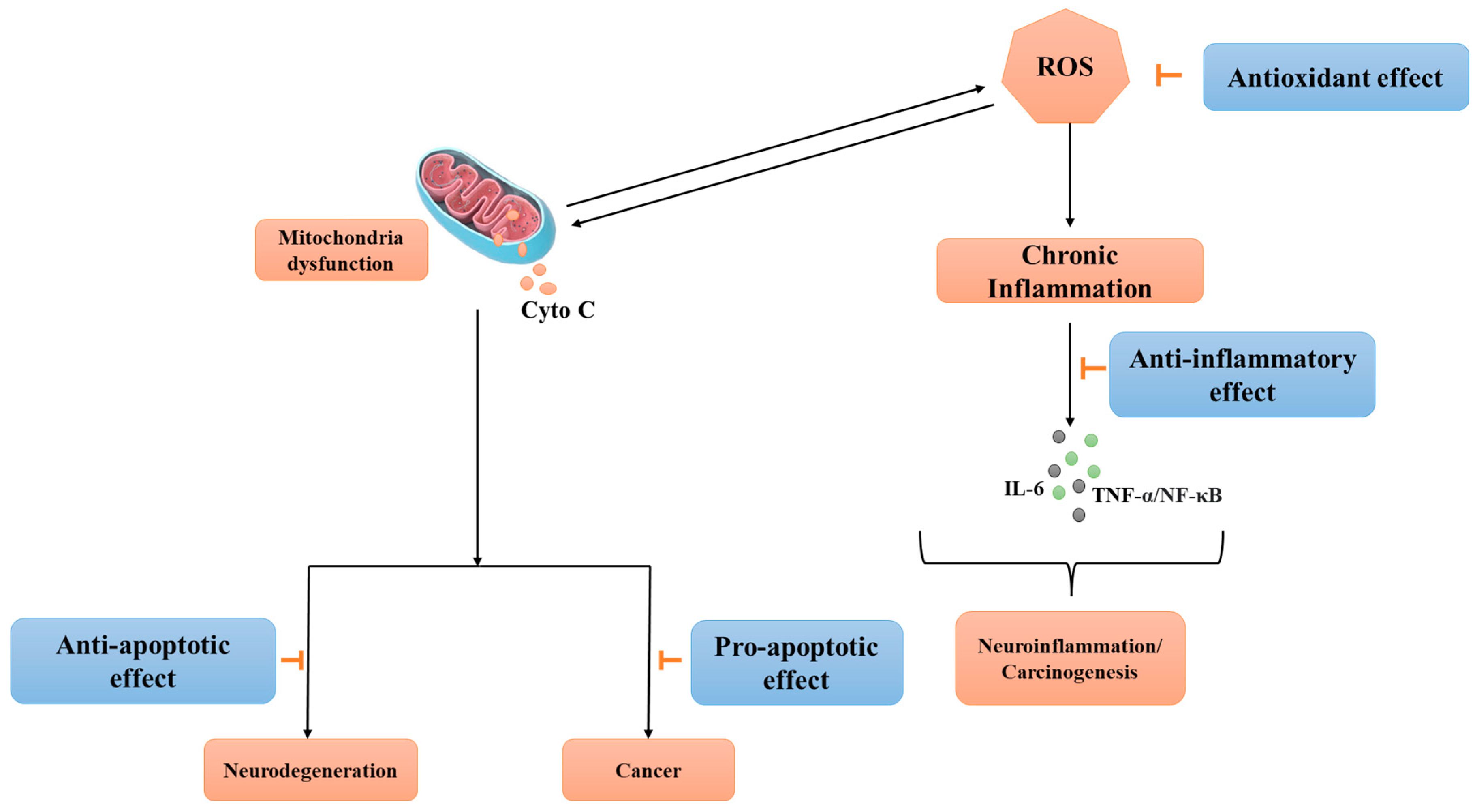 Pharmaceuticals 17 00701 g003