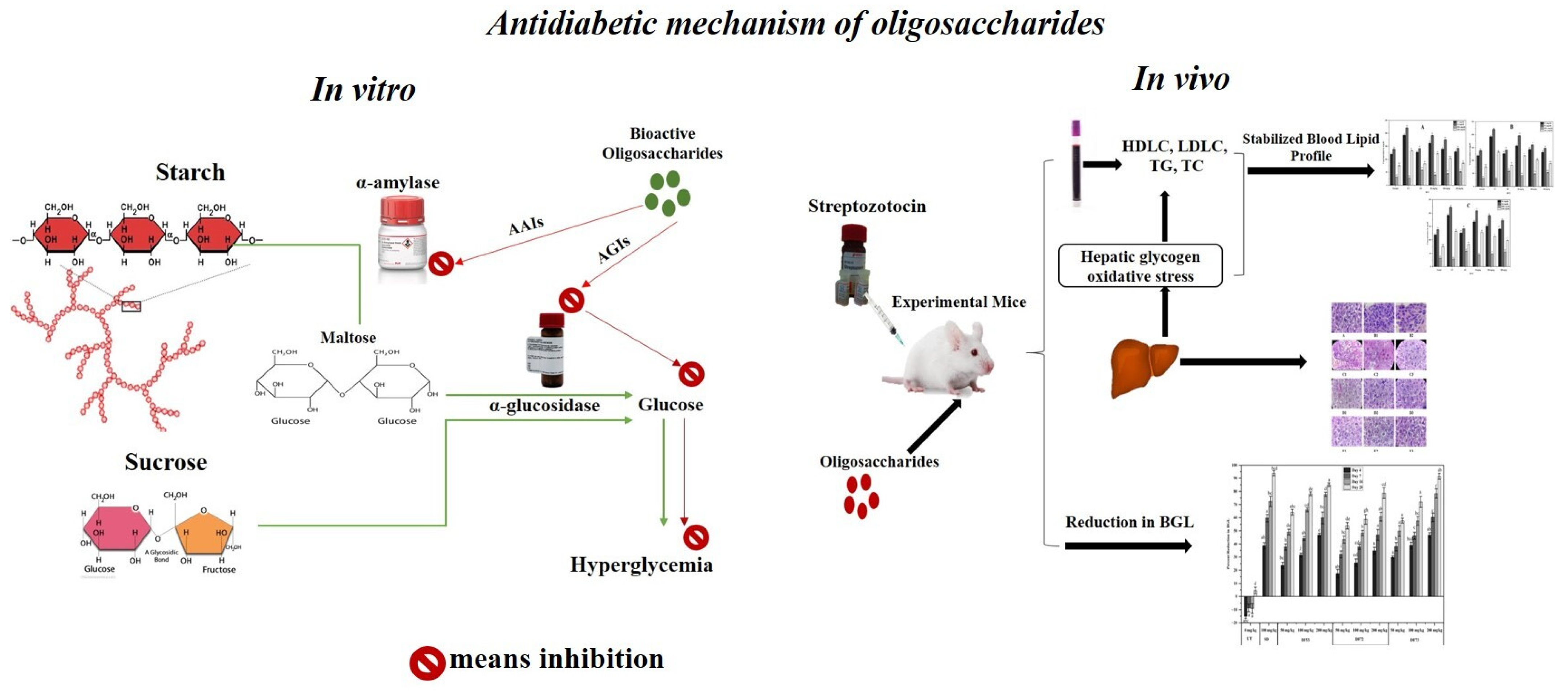 Pharmaceuticals 17 00704 g010