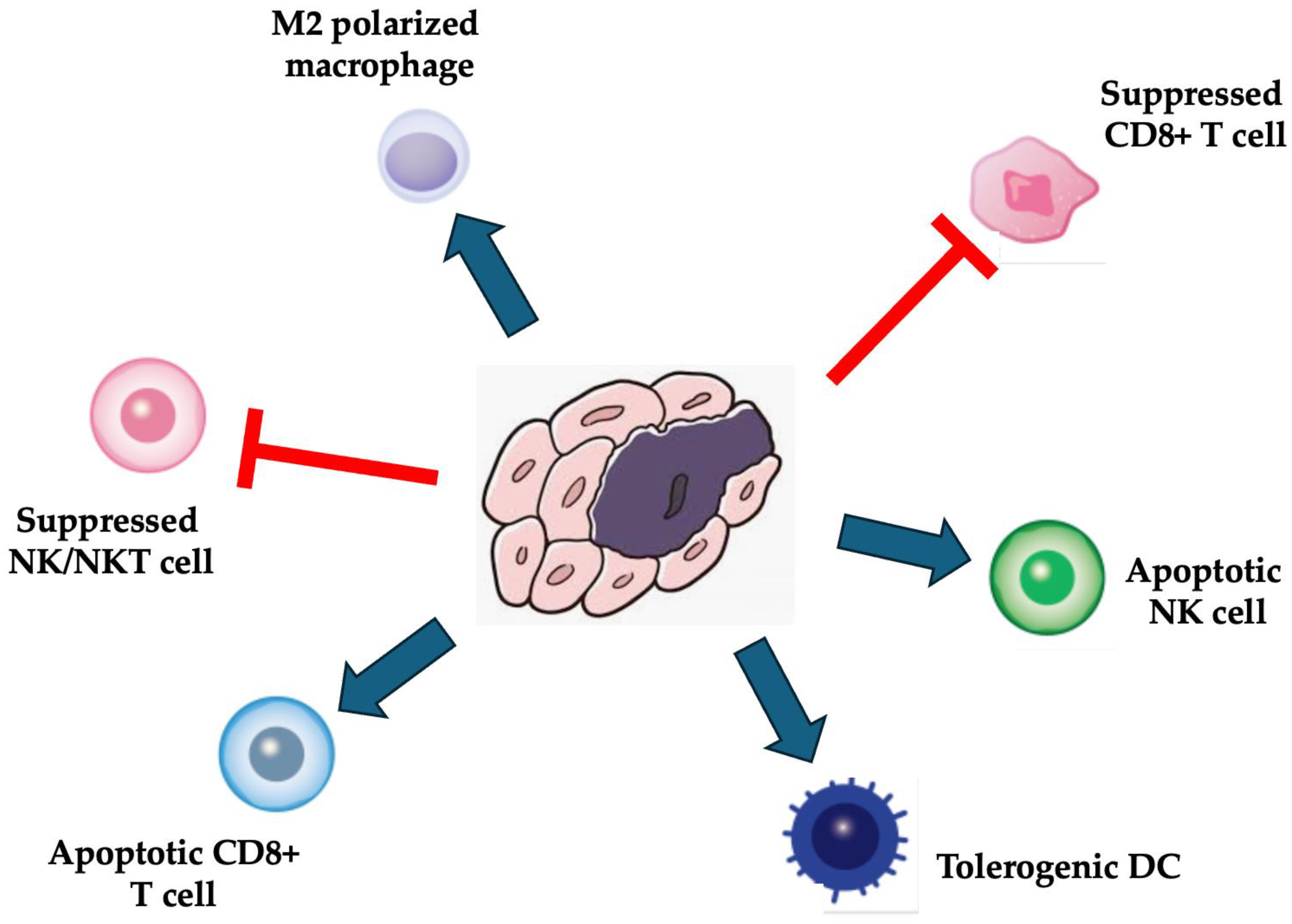 Pharmaceuticals 17 00707 g002