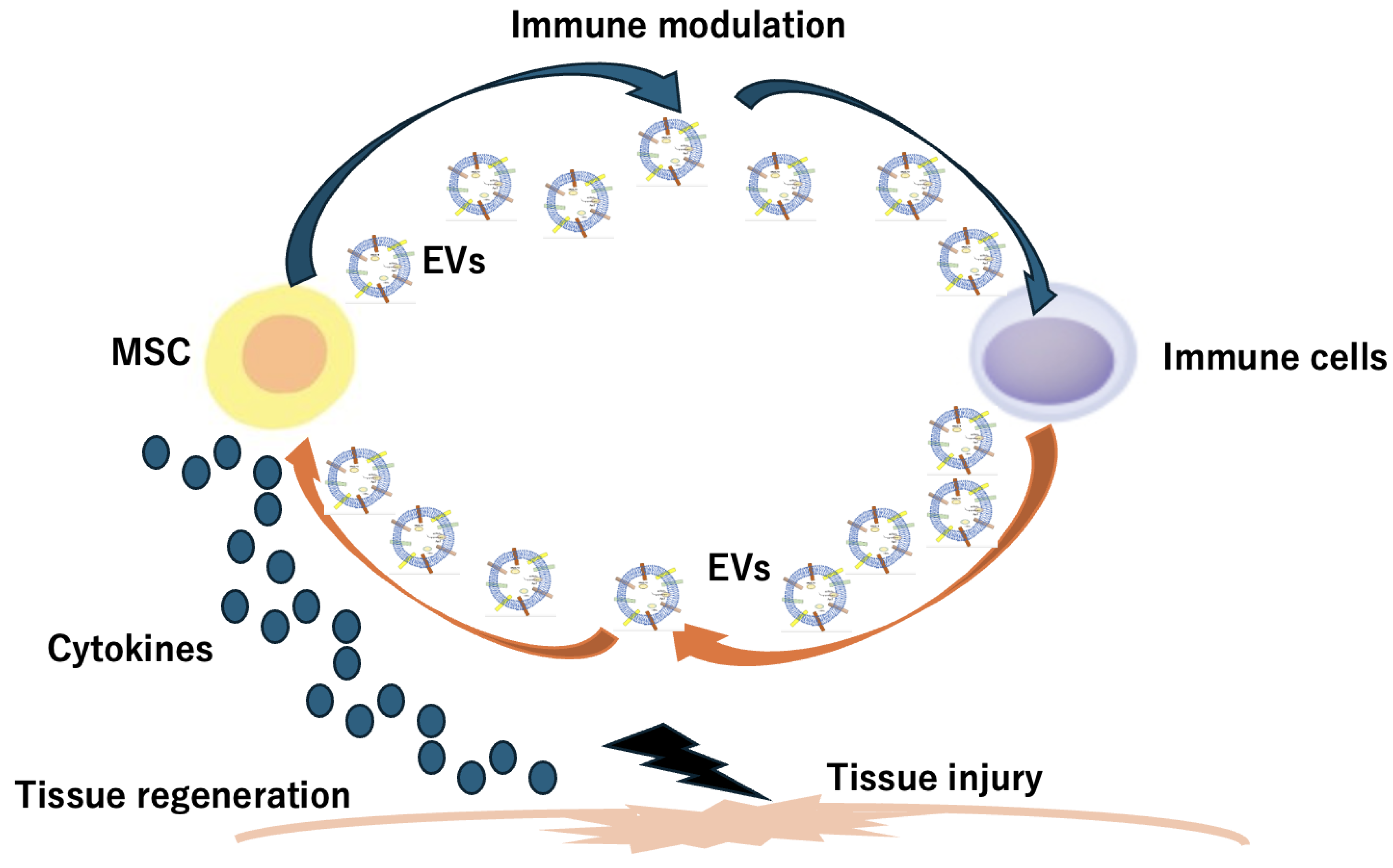Pharmaceuticals 17 00707 g003