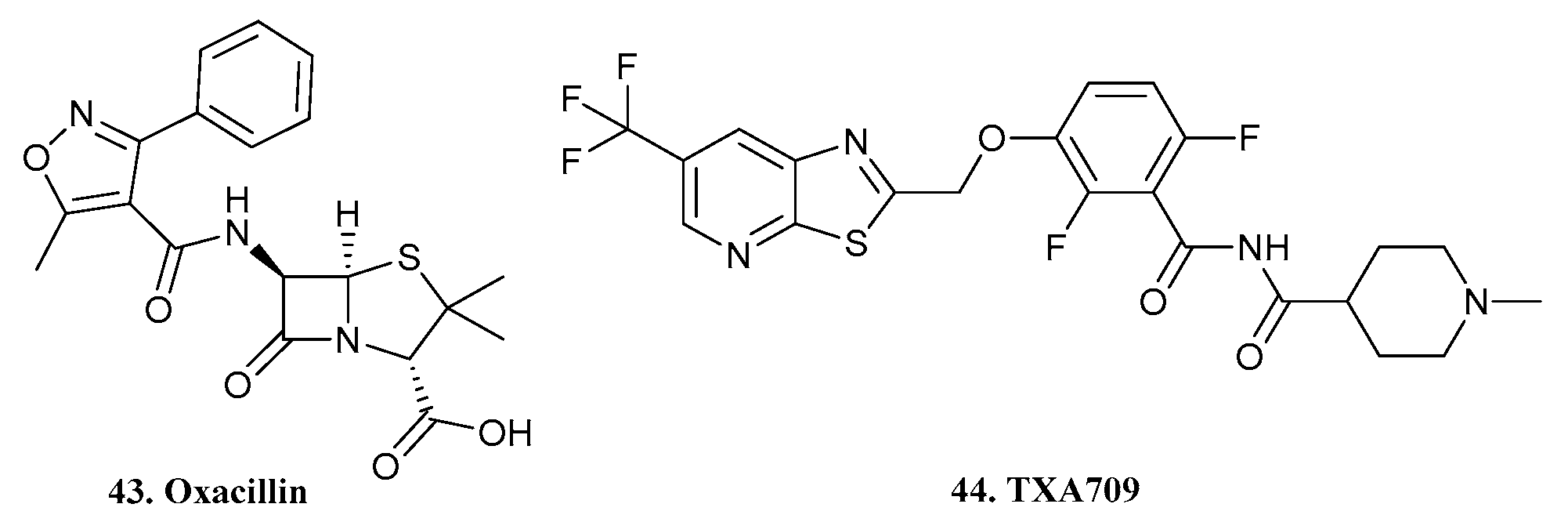 Pharmaceuticals 17 00718 g014