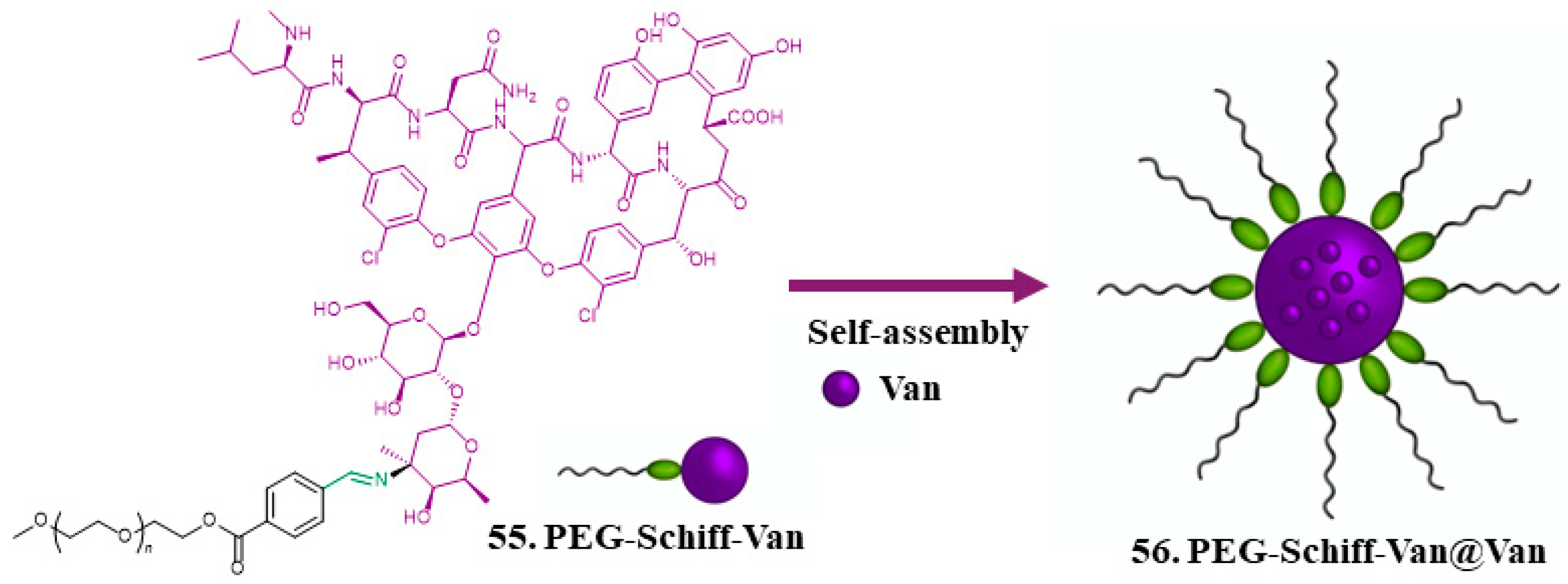 Pharmaceuticals 17 00718 sch005