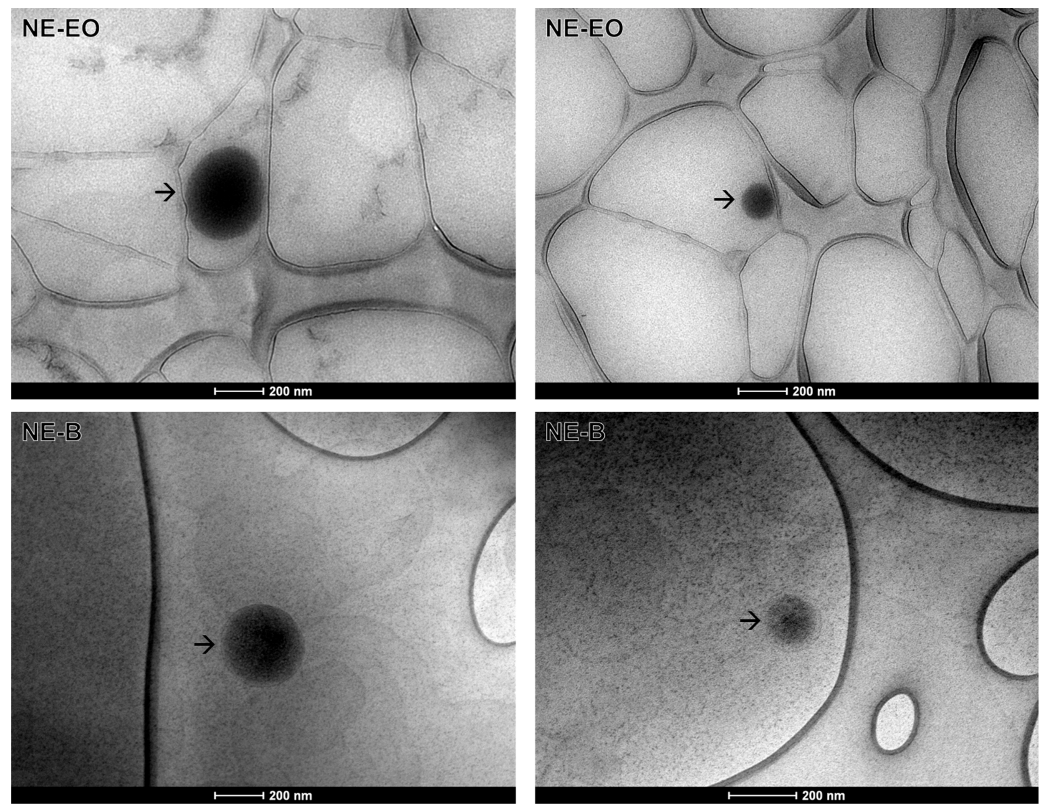 Pharmaceuticals 17 00721 g003