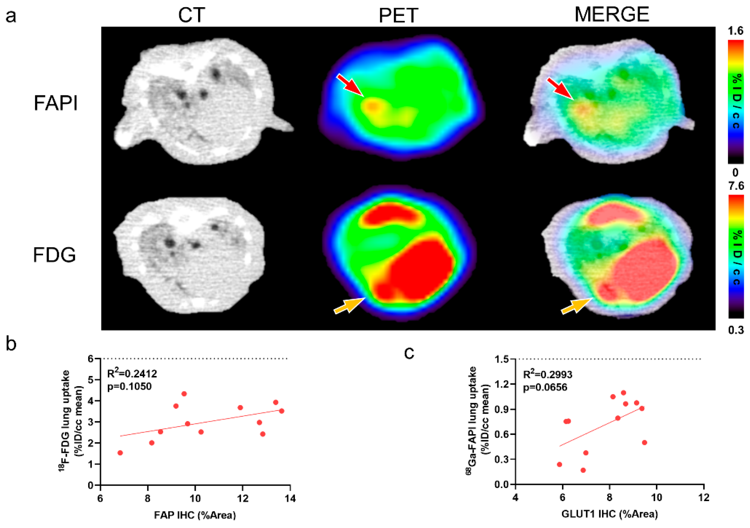Pharmaceuticals 17 00726 g003