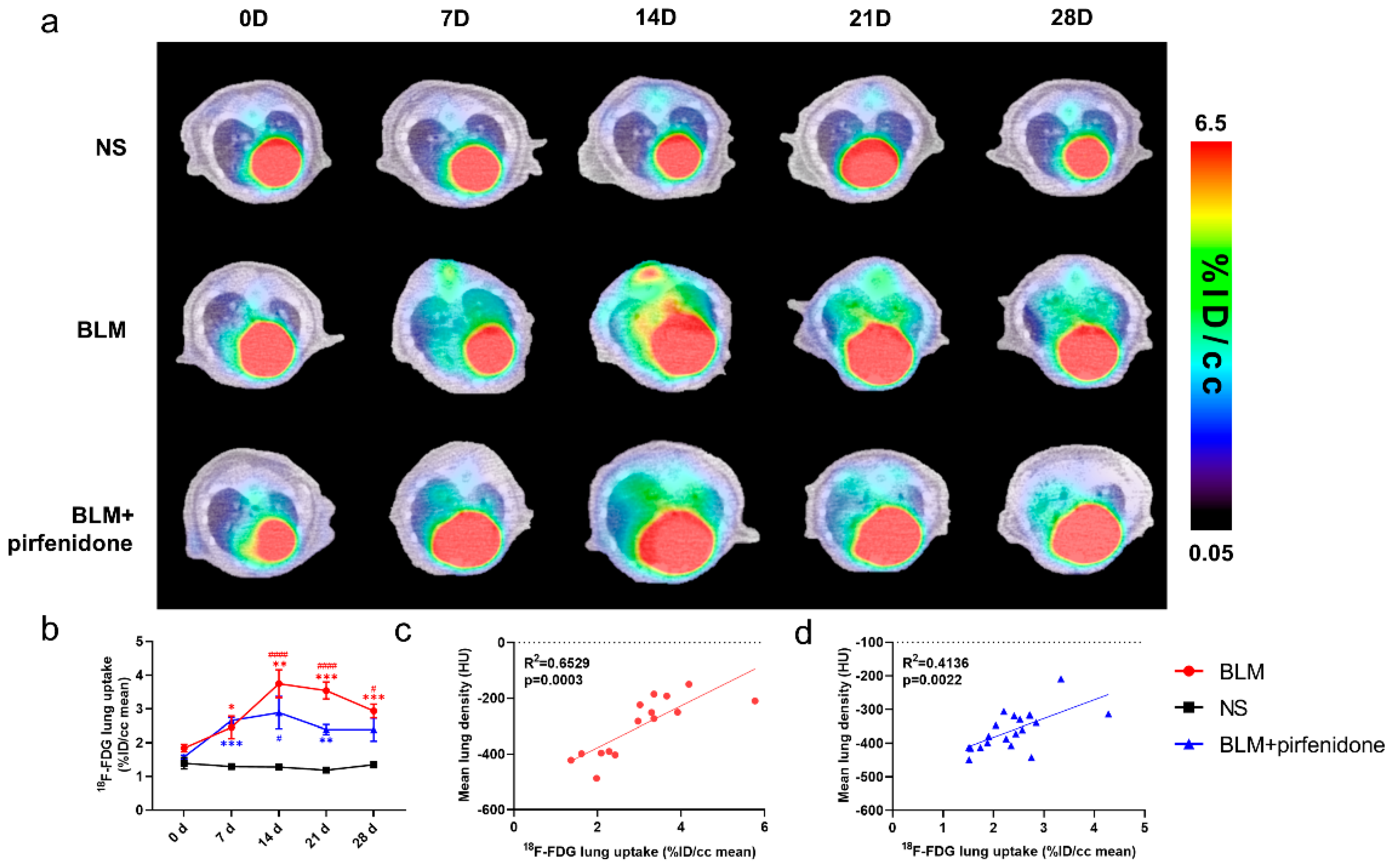 Pharmaceuticals 17 00726 g005
