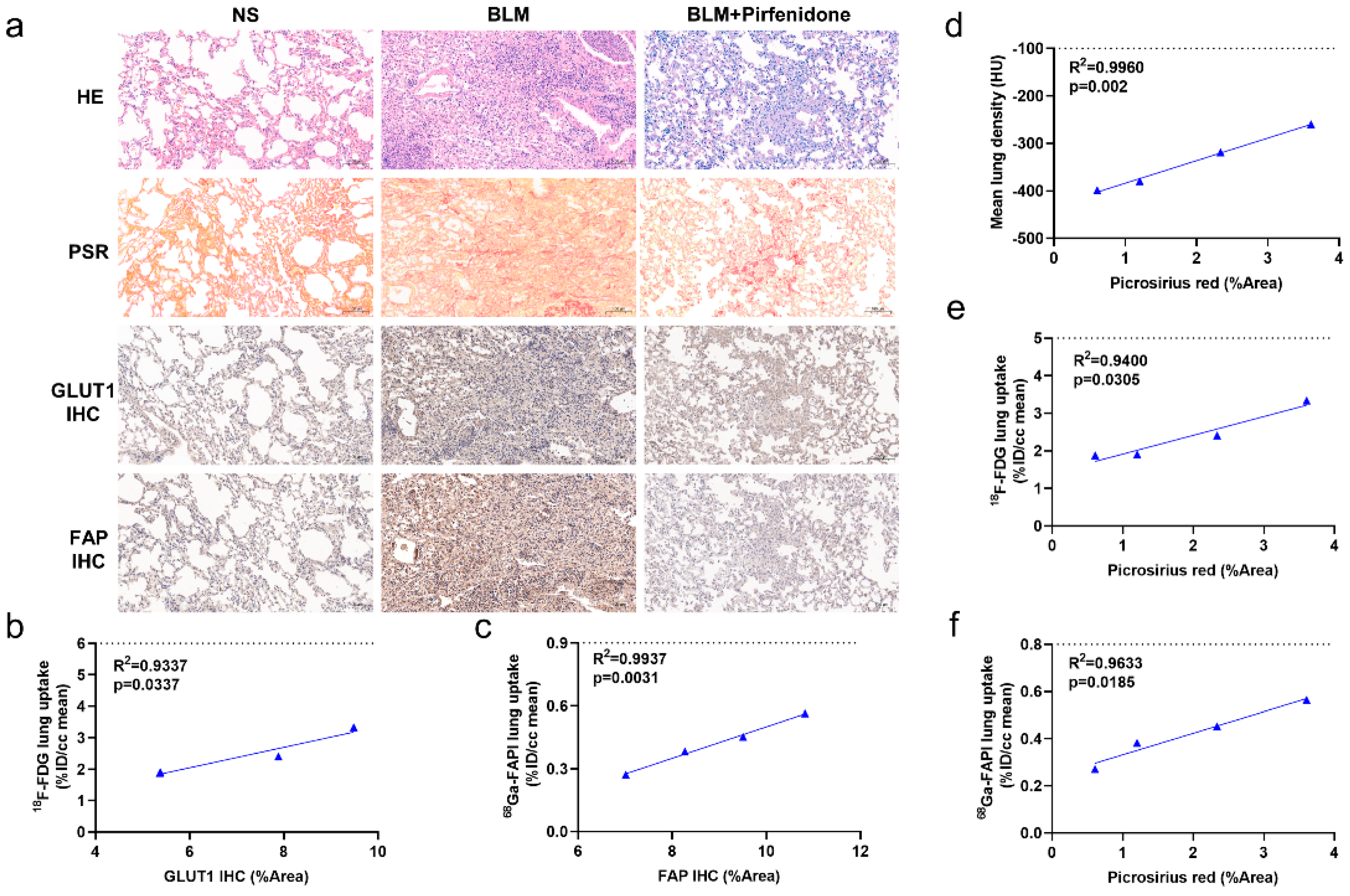 Pharmaceuticals 17 00726 g008