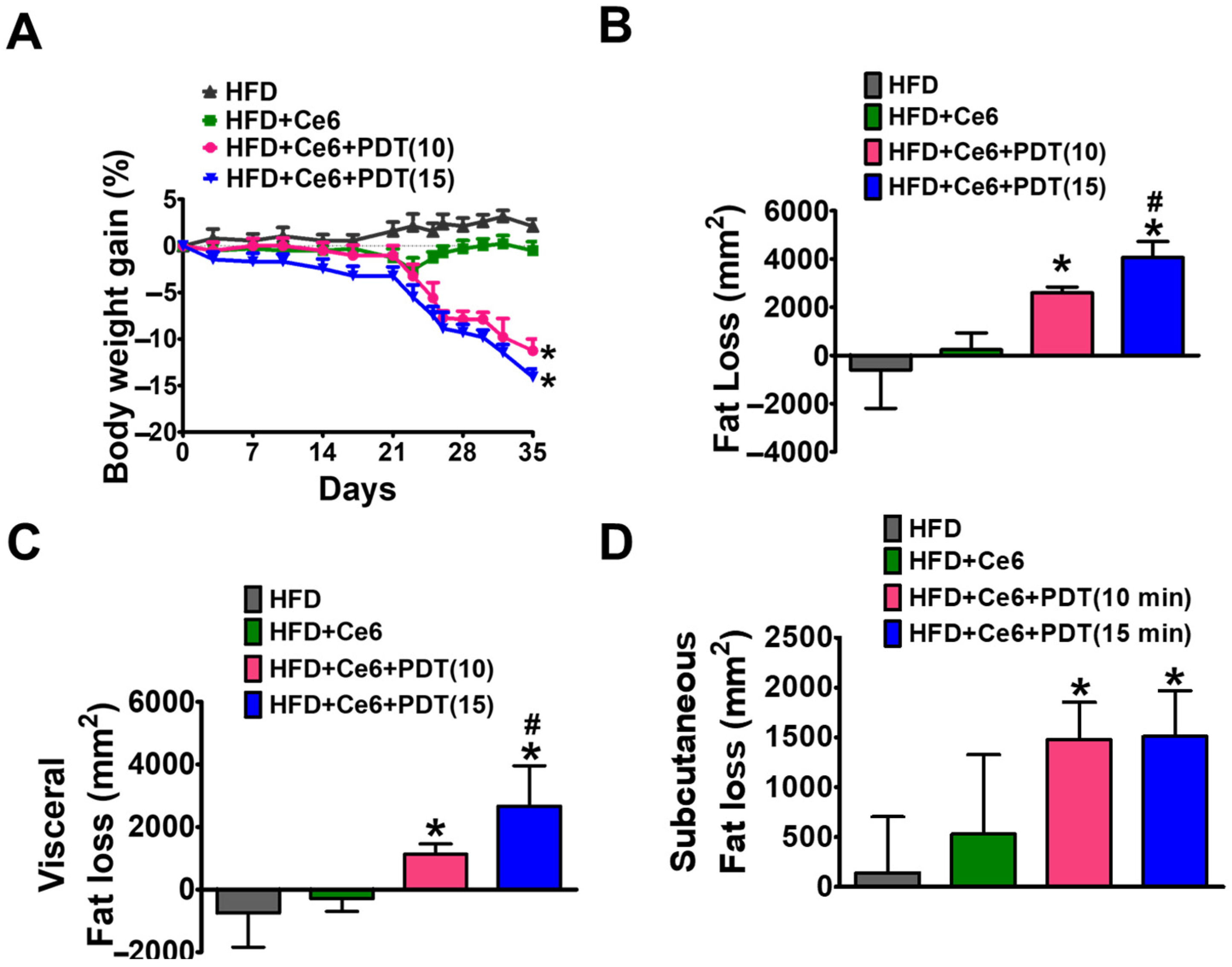 Pharmaceuticals 17 00729 g001