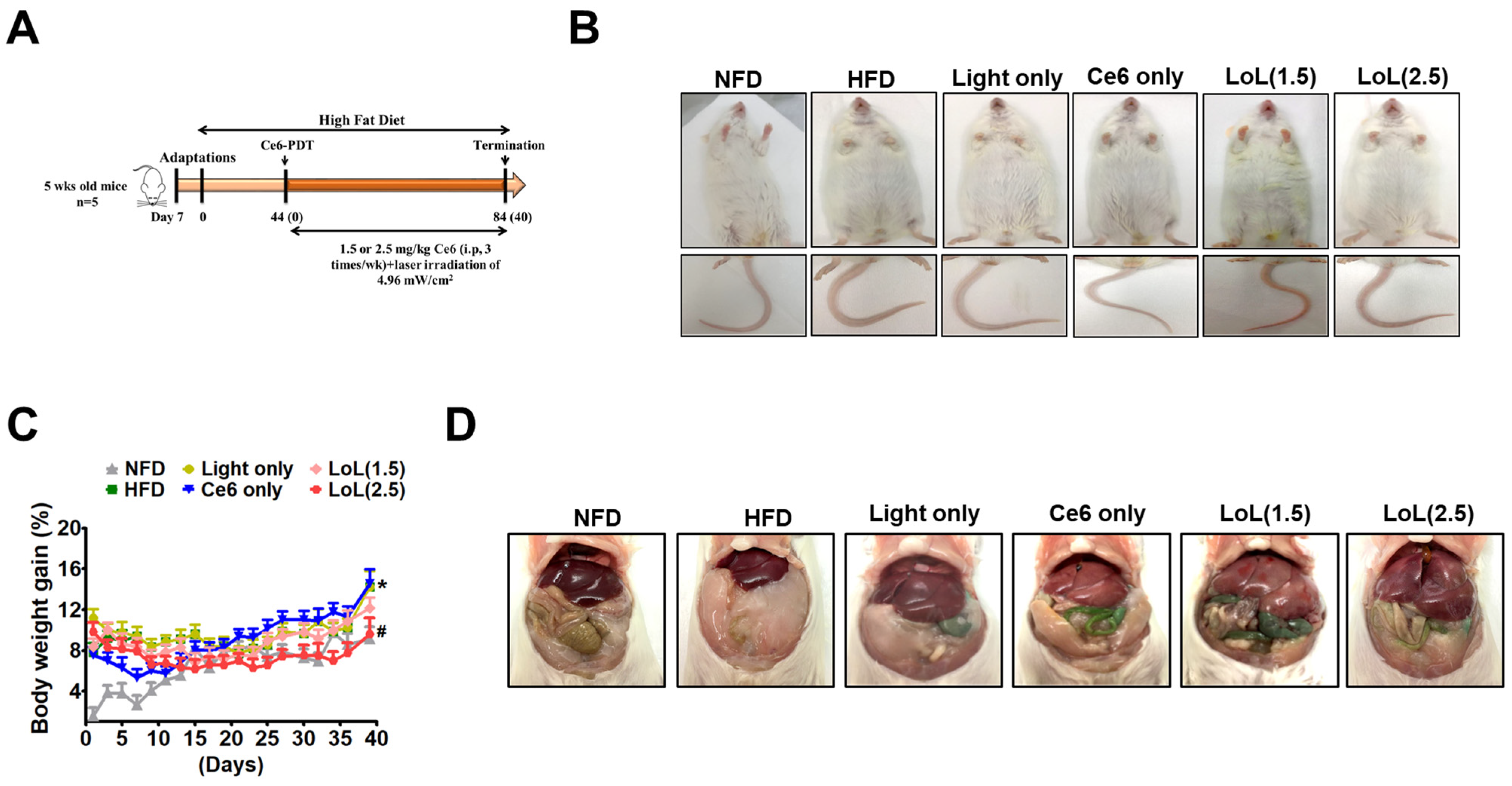 Pharmaceuticals 17 00729 g005