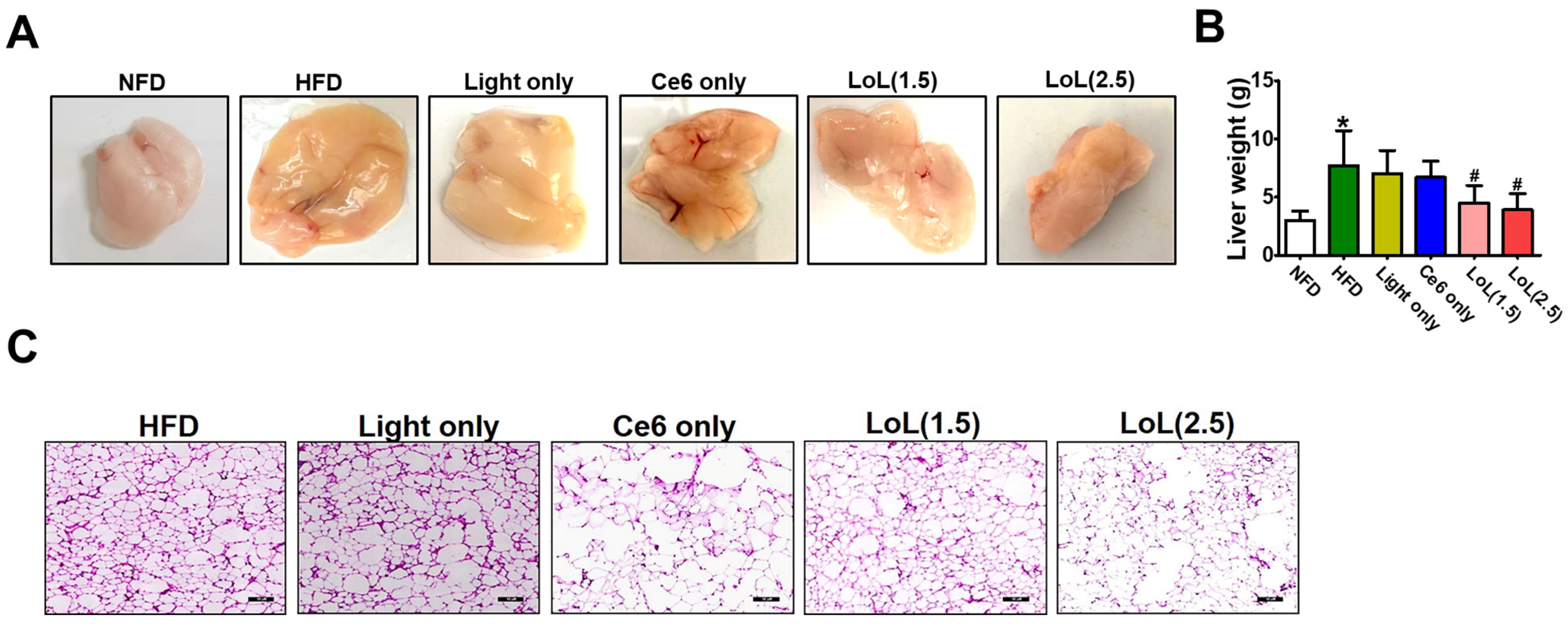 Pharmaceuticals 17 00729 g006