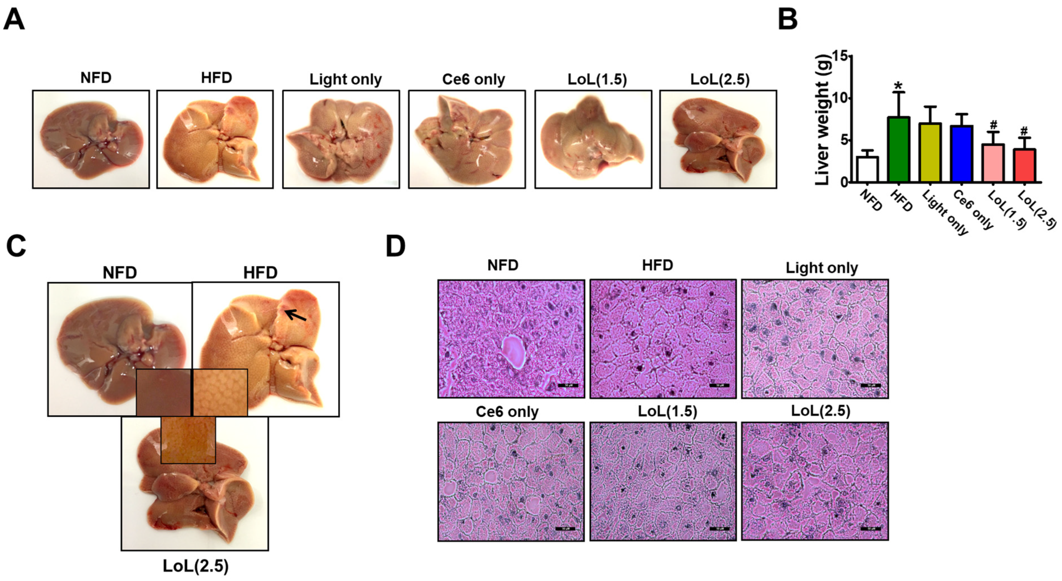 Pharmaceuticals 17 00729 g007