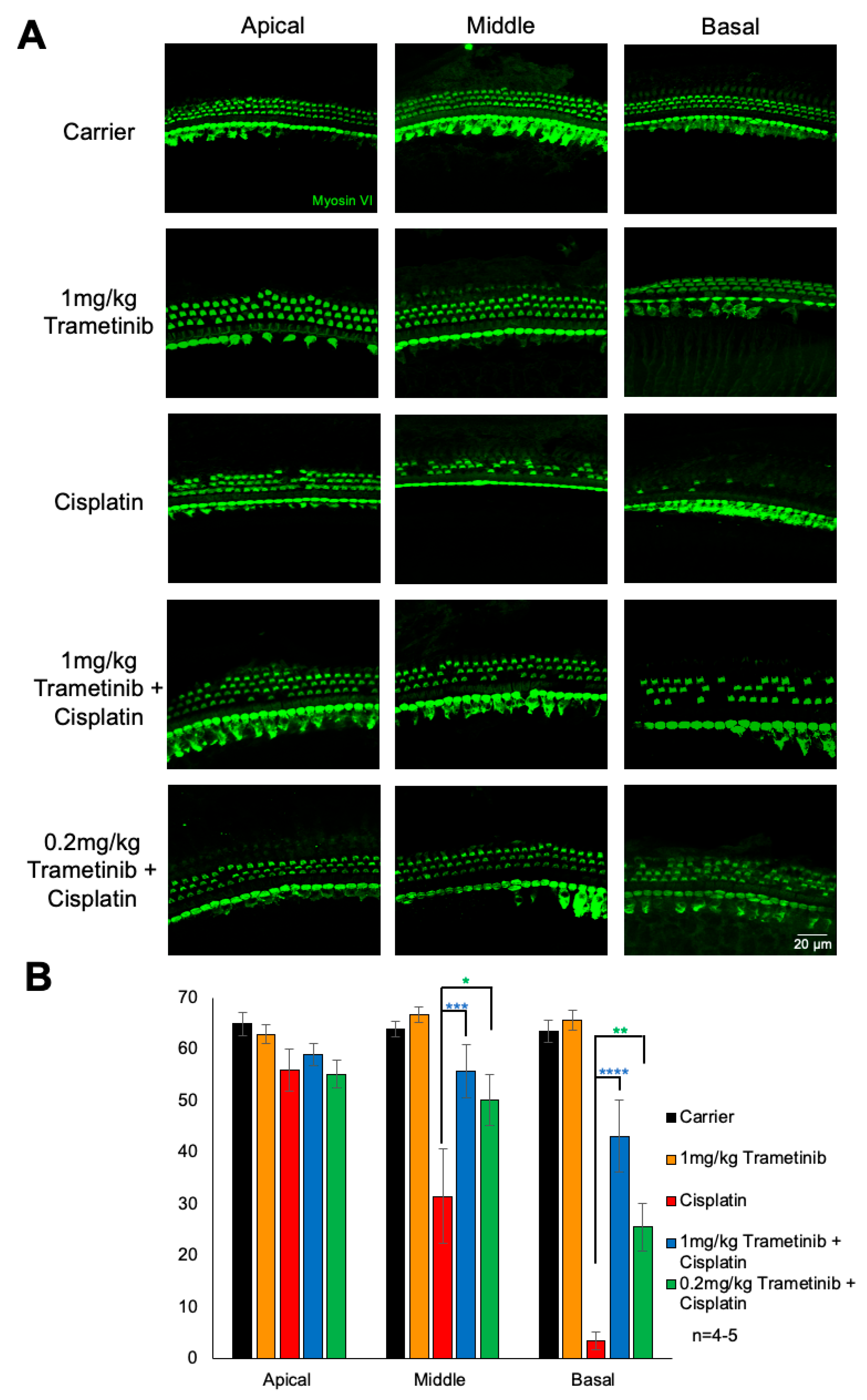 Pharmaceuticals 17 00735 g003