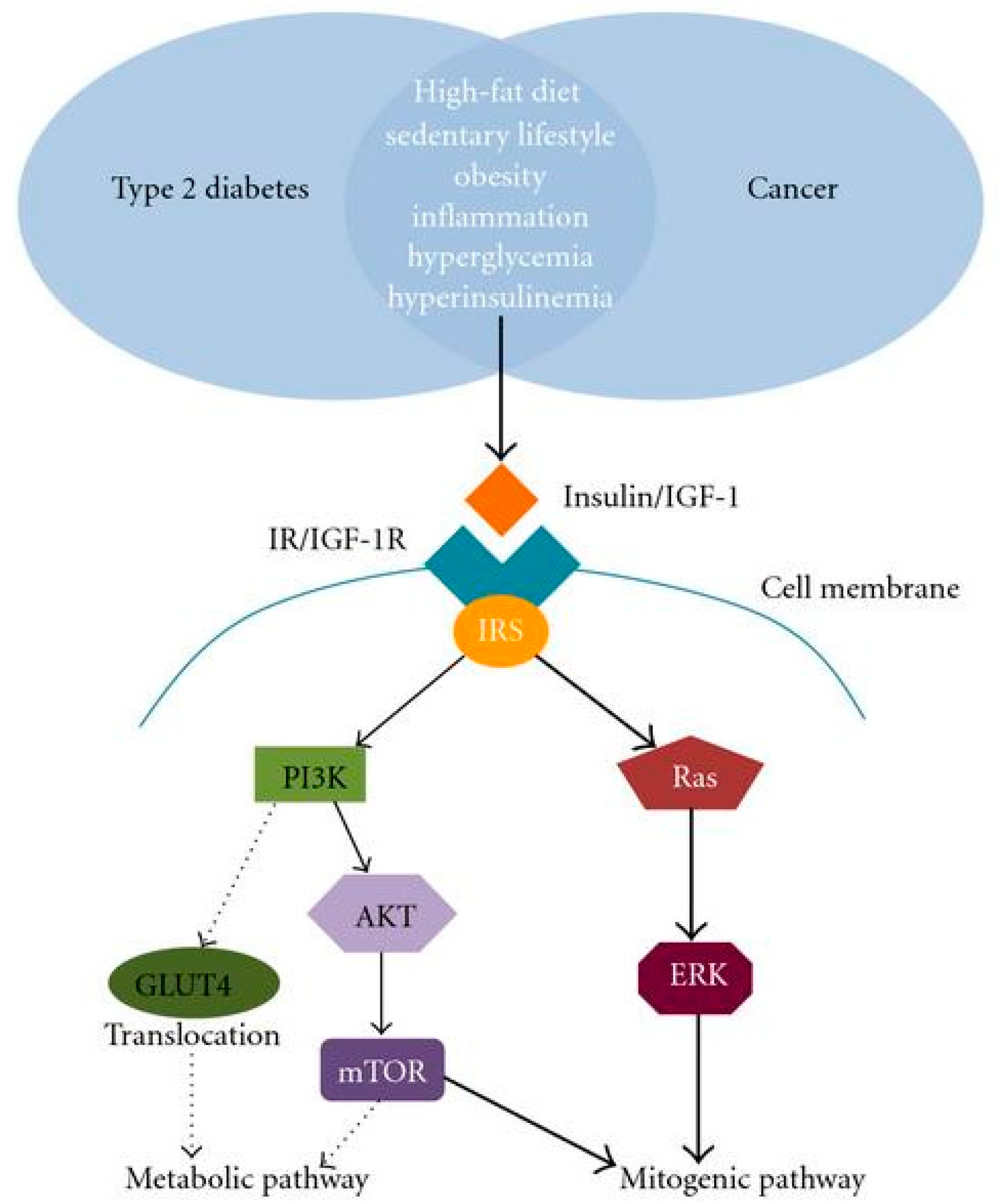 Pharmaceuticals 17 00736 g002