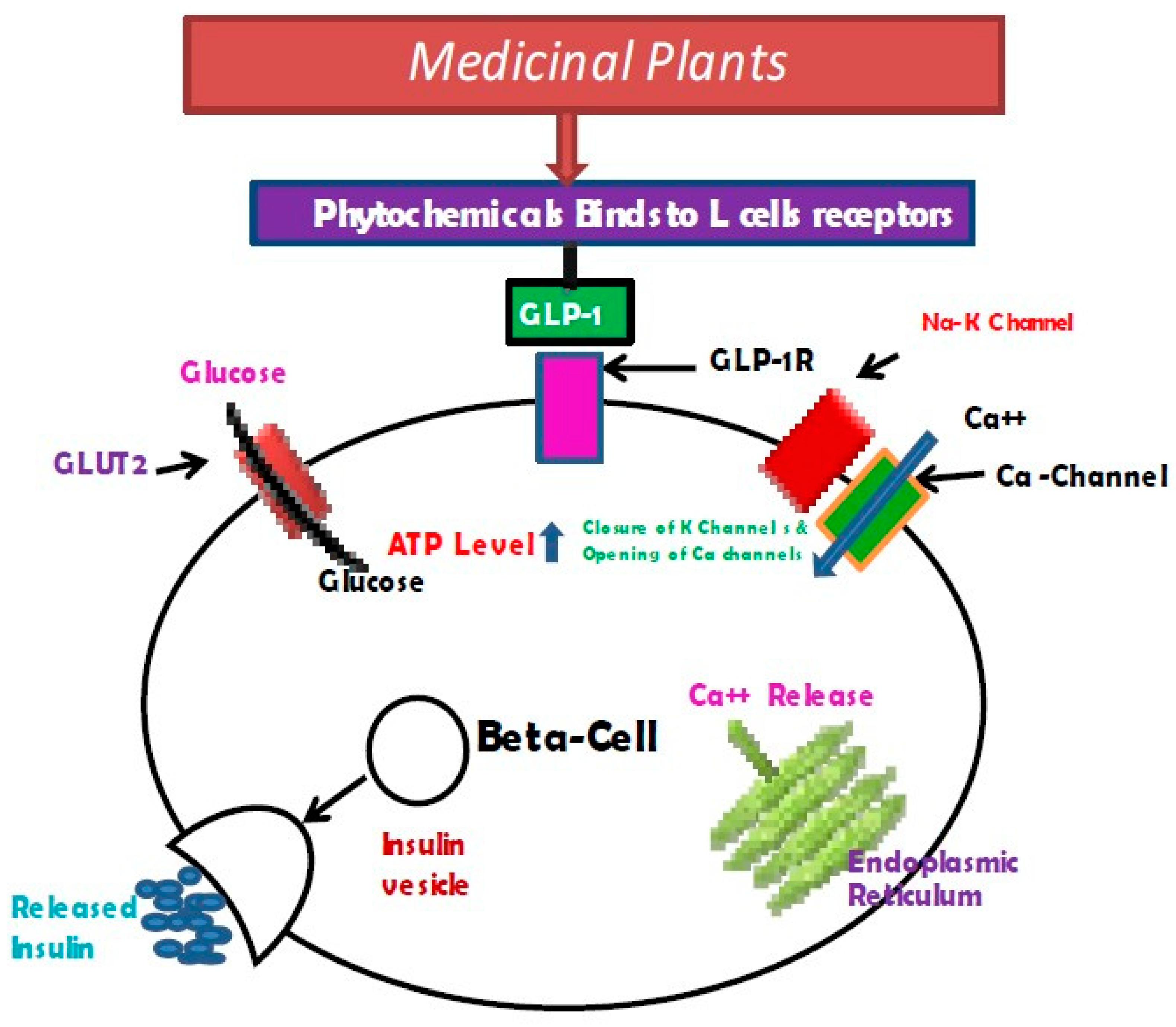Pharmaceuticals 17 00736 g005