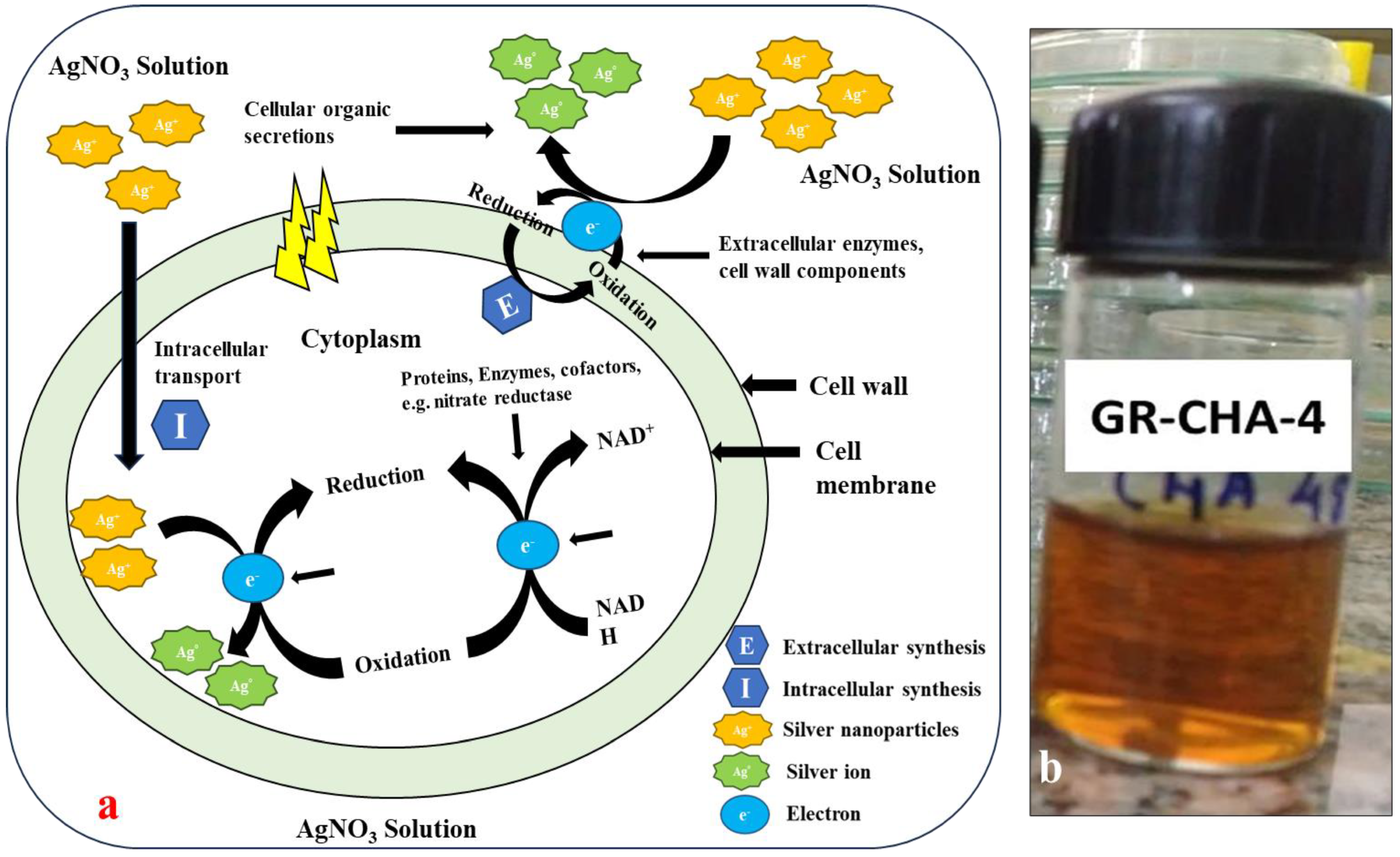 Pharmaceuticals 17 00743 g009