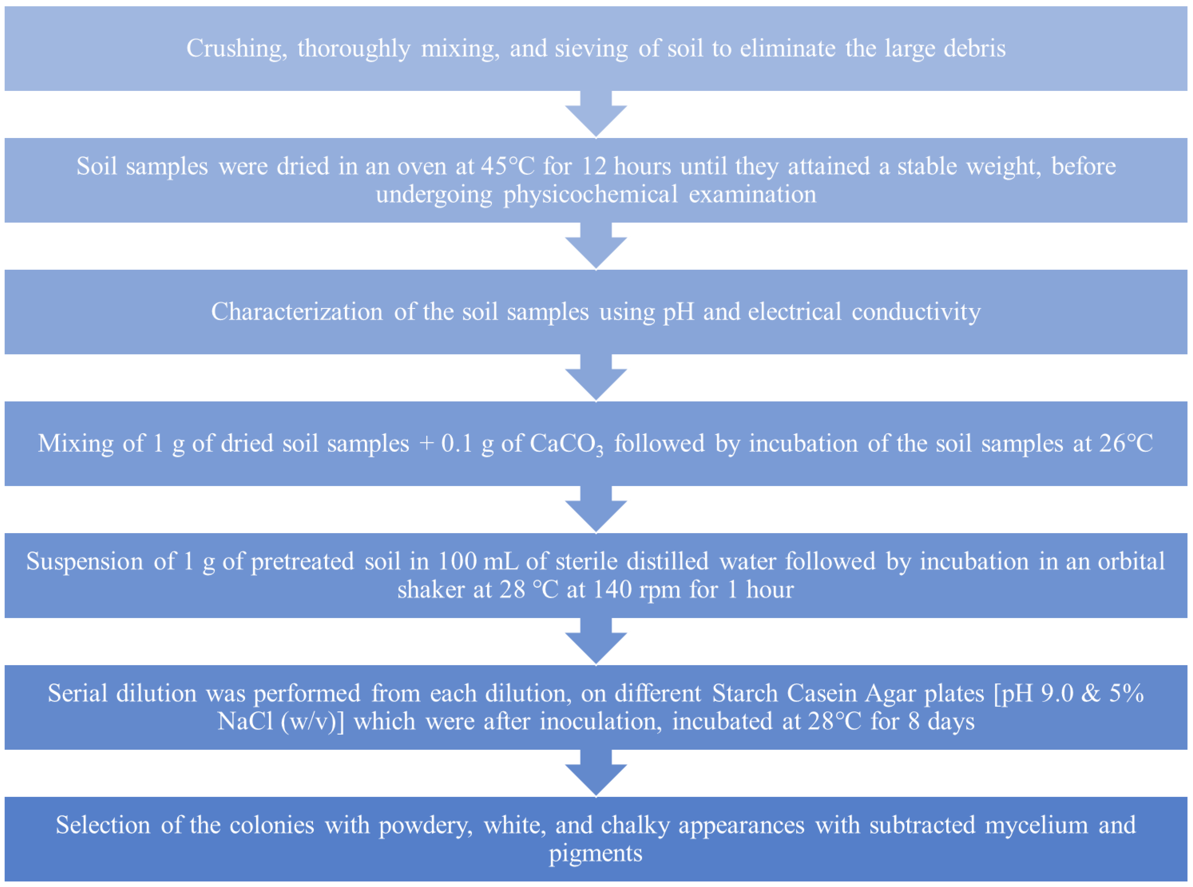 Pharmaceuticals 17 00743 g011
