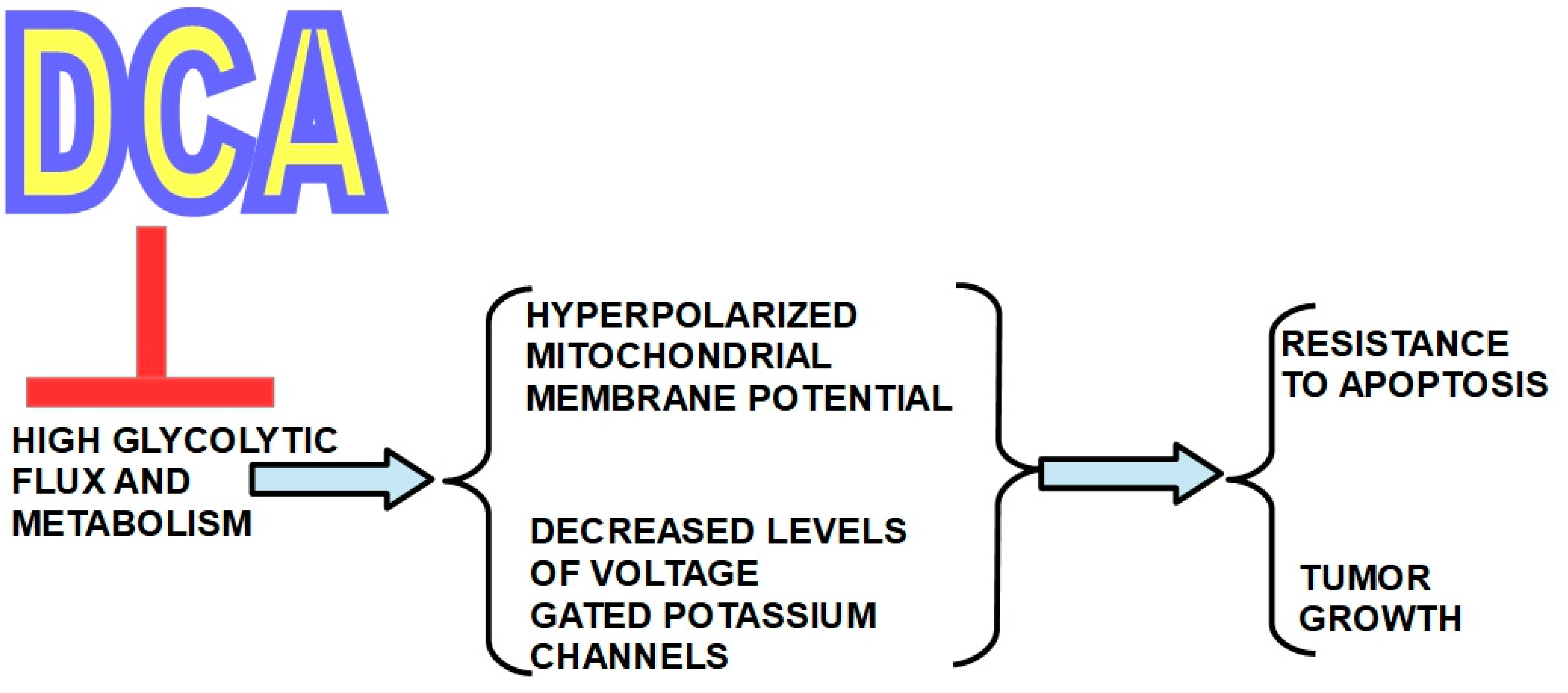 Pharmaceuticals 17 00744 g001