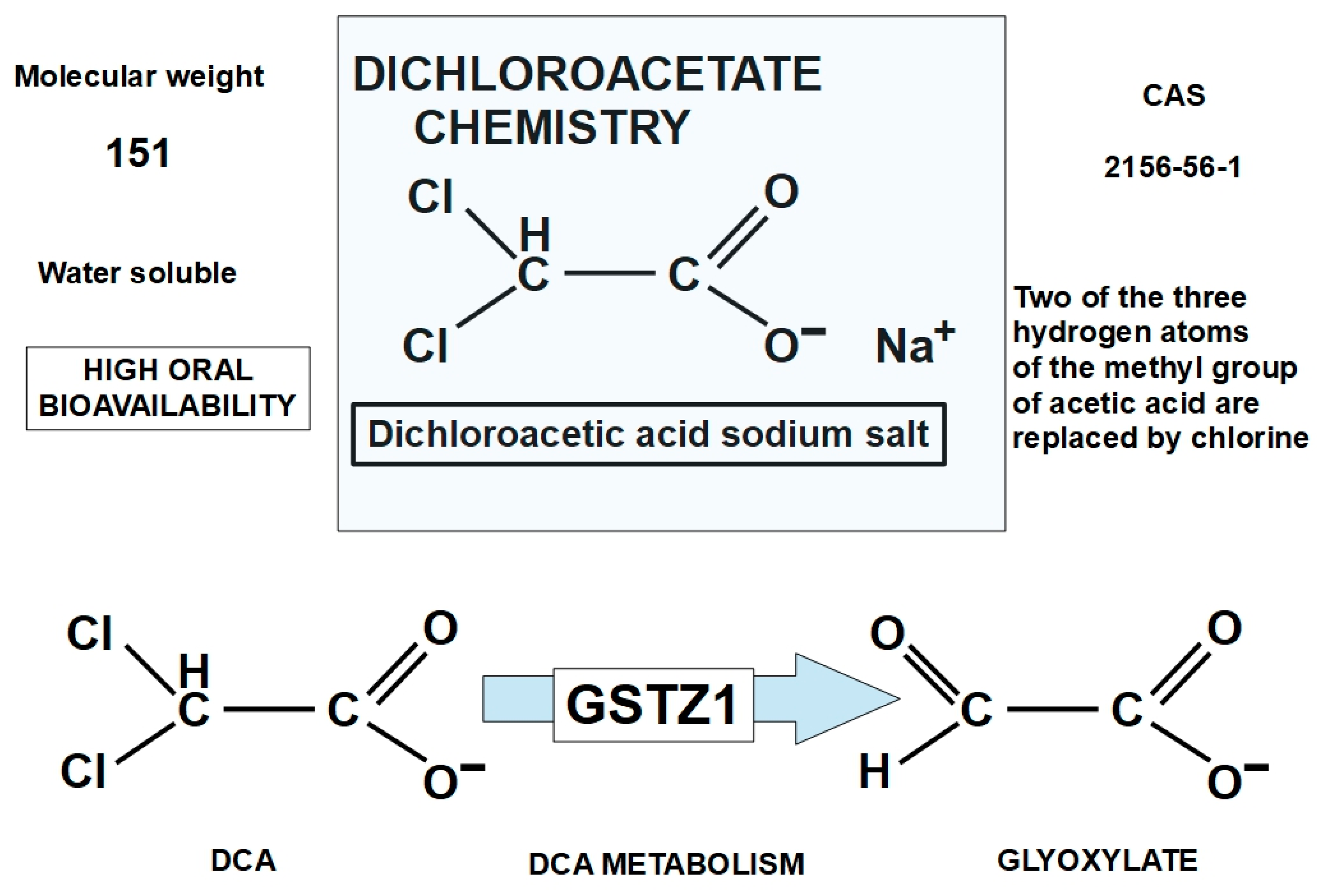 Pharmaceuticals 17 00744 g003
