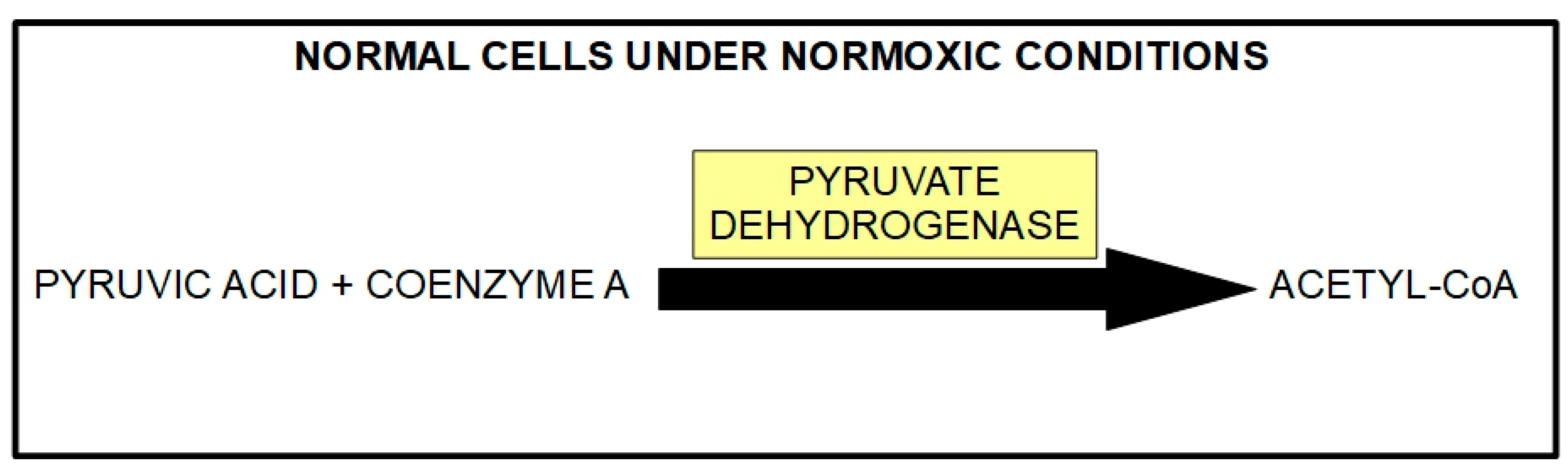 Pharmaceuticals 17 00744 g006