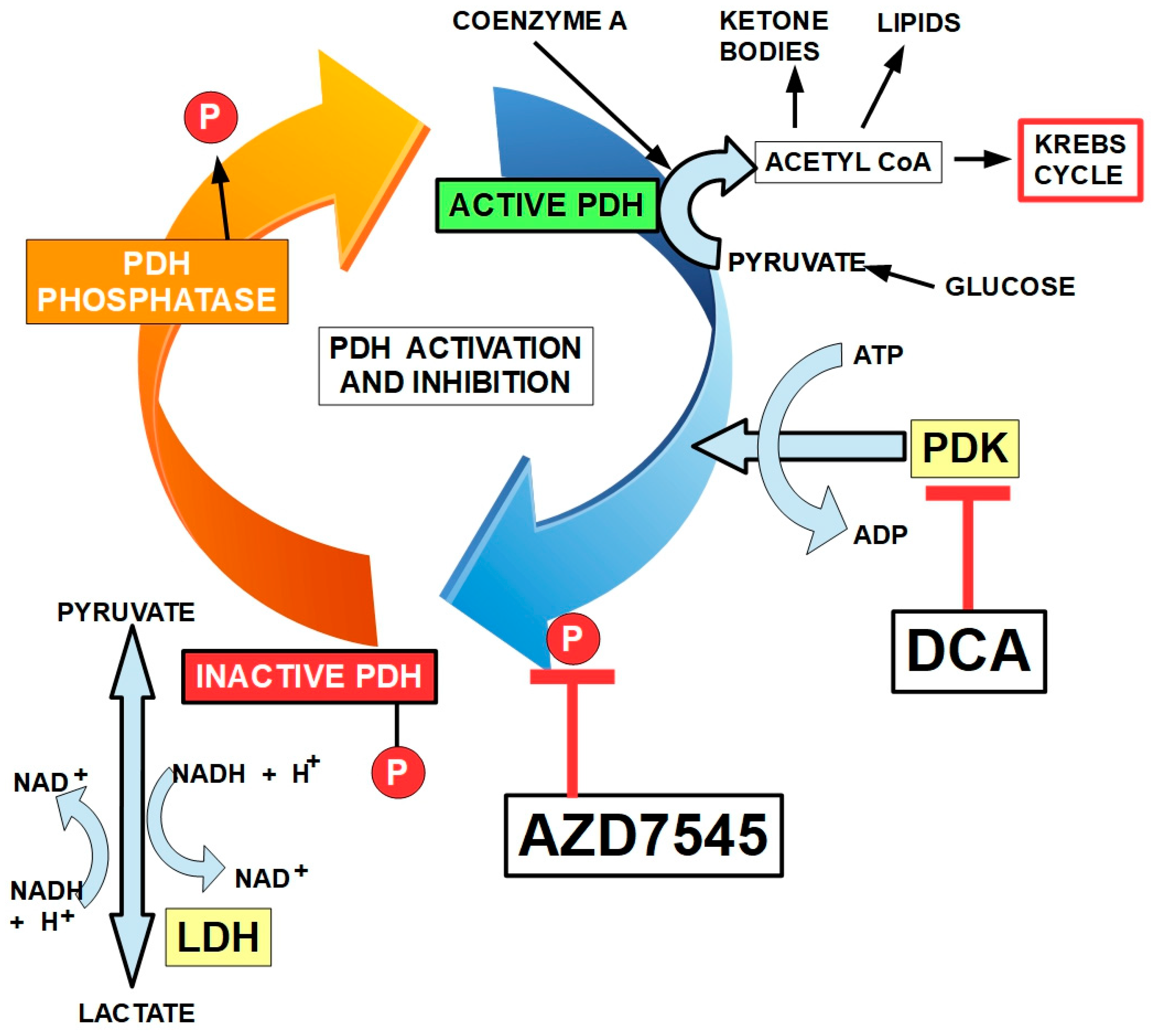 Pharmaceuticals 17 00744 g009