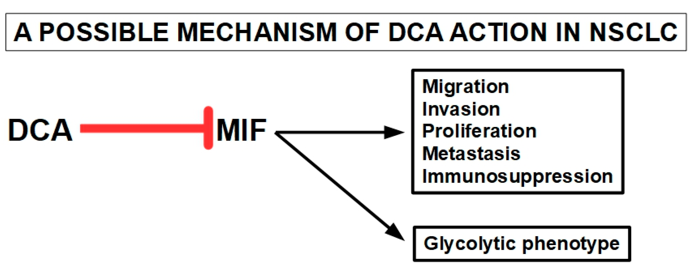 Pharmaceuticals 17 00744 g012