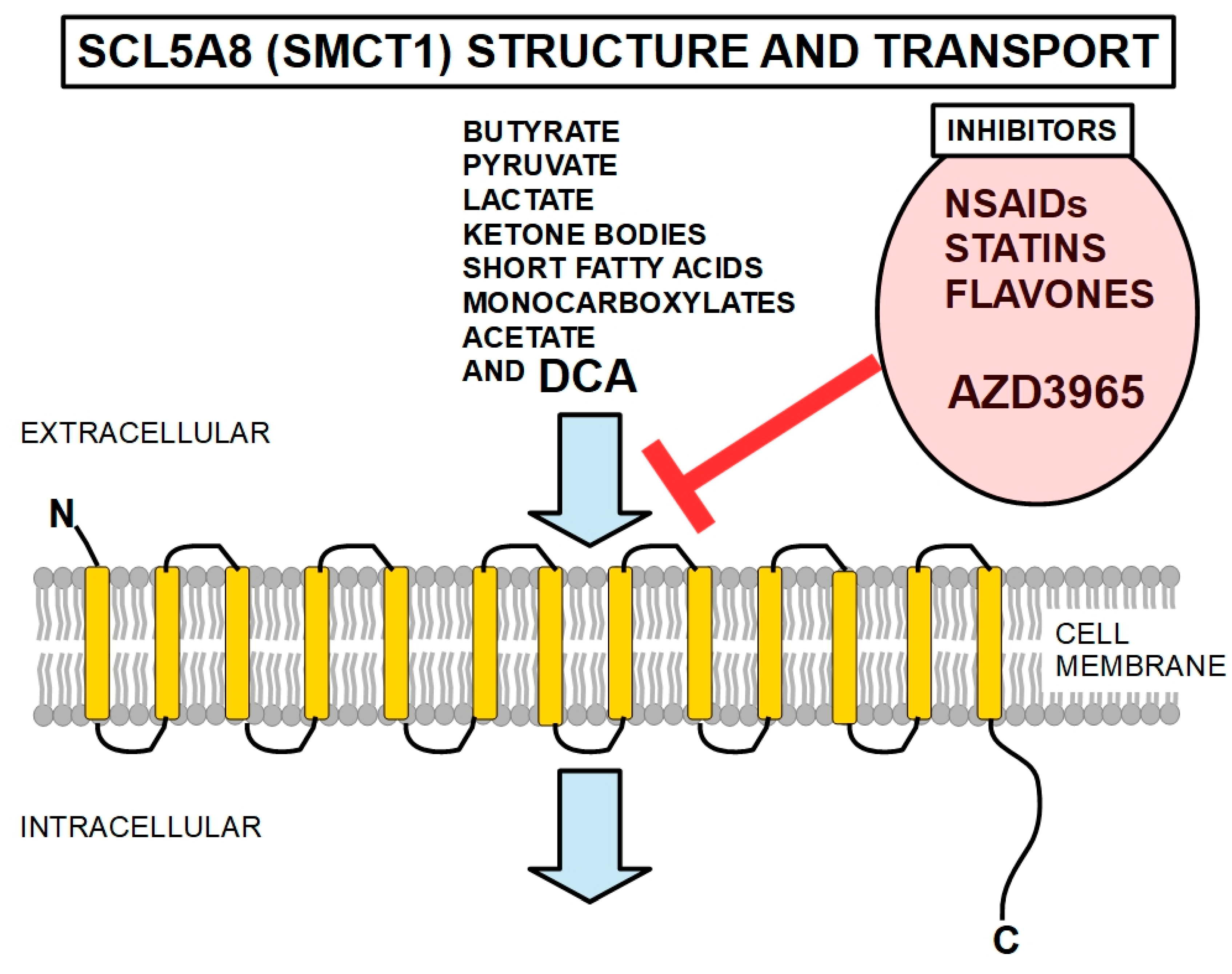 Pharmaceuticals 17 00744 g014