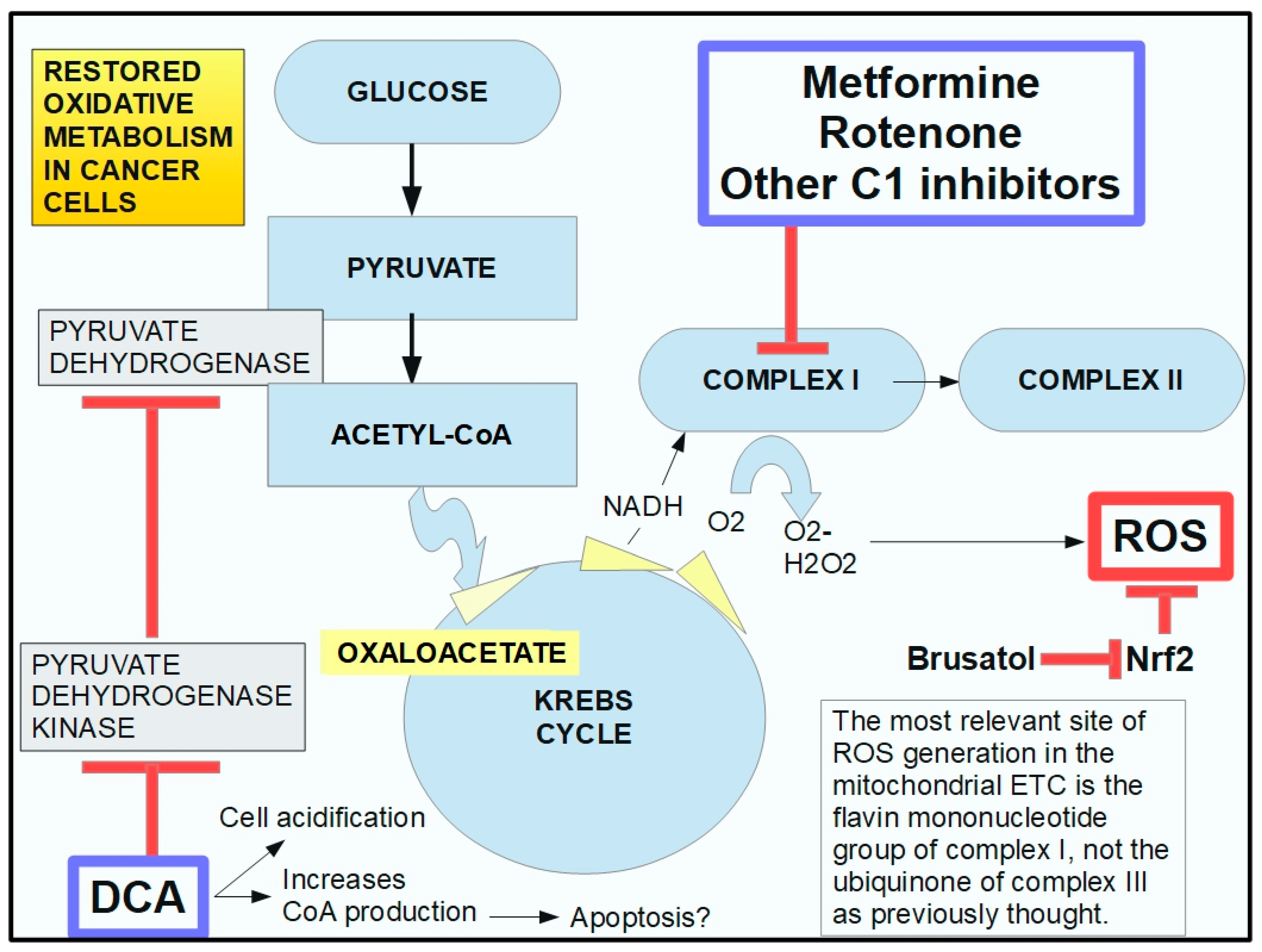 Pharmaceuticals 17 00744 g015