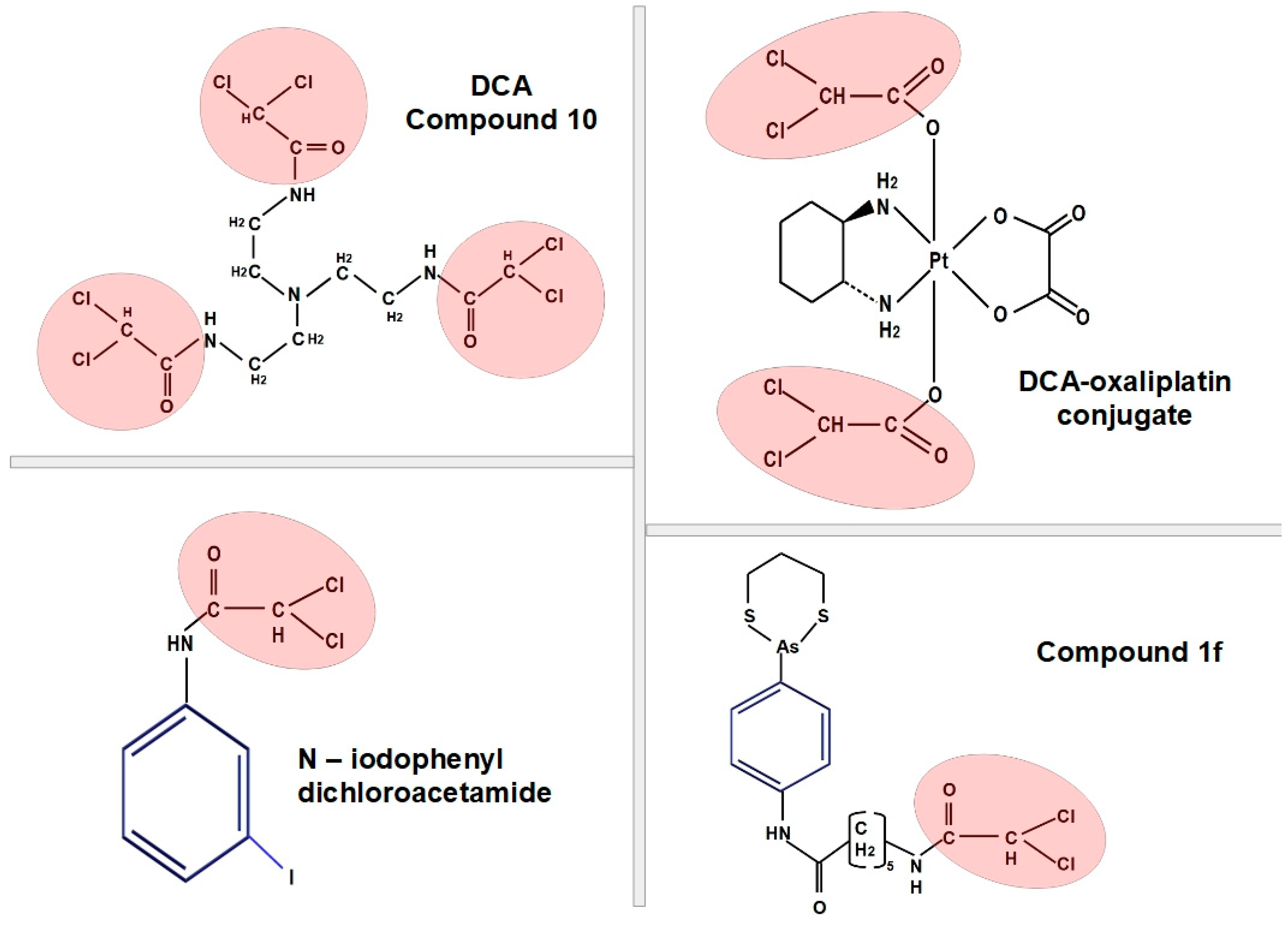 Pharmaceuticals 17 00744 g017