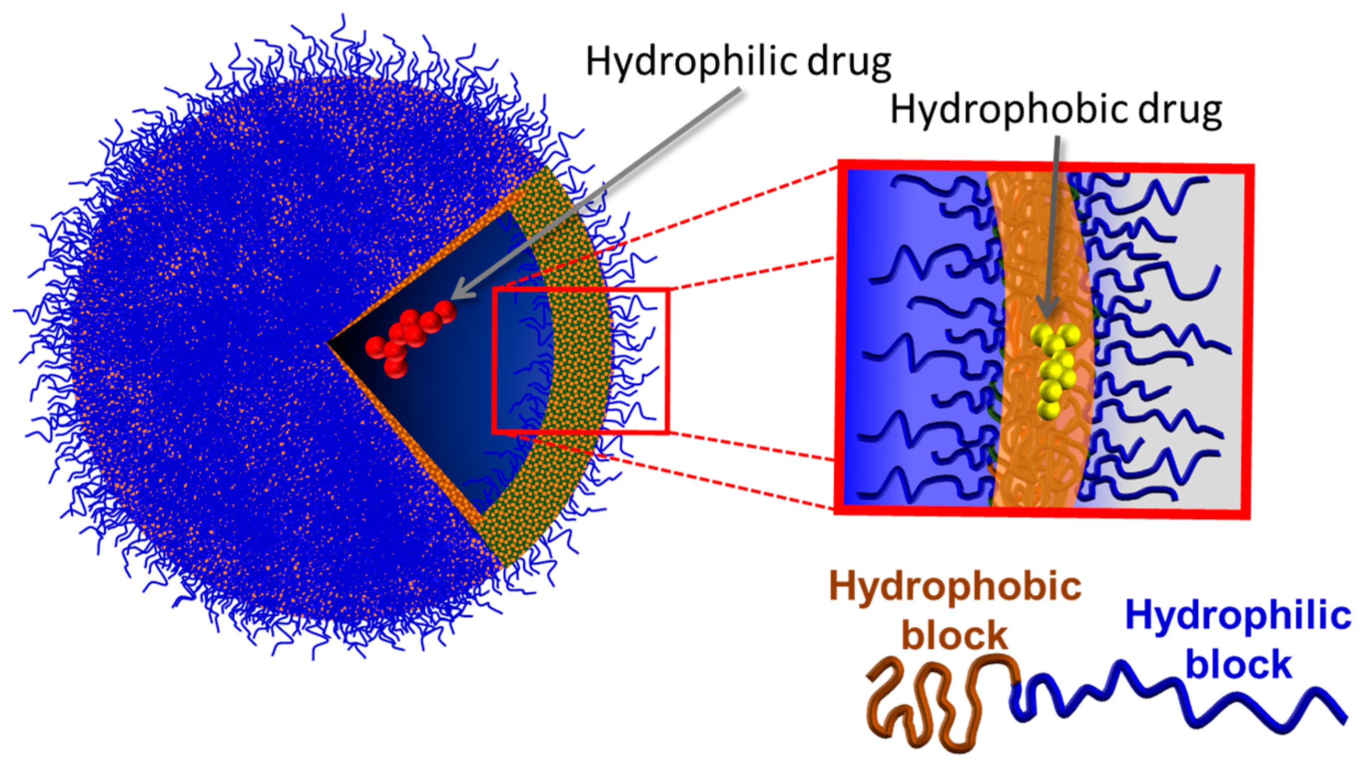 Pharmaceuticals 17 00747 g002