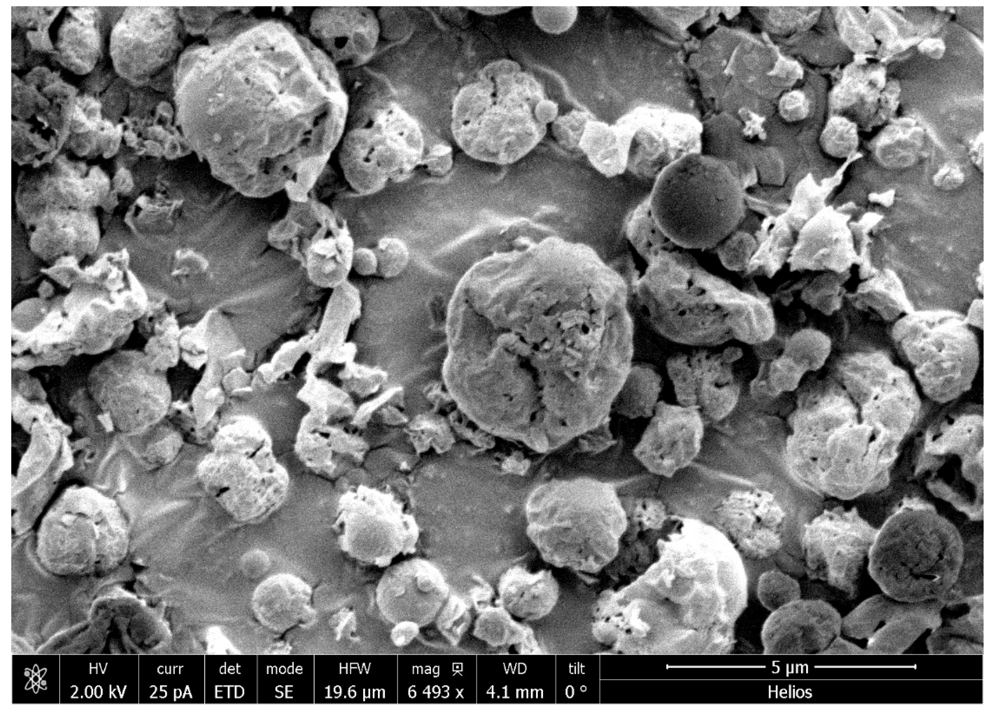 Pharmaceuticals 17 00754 g003