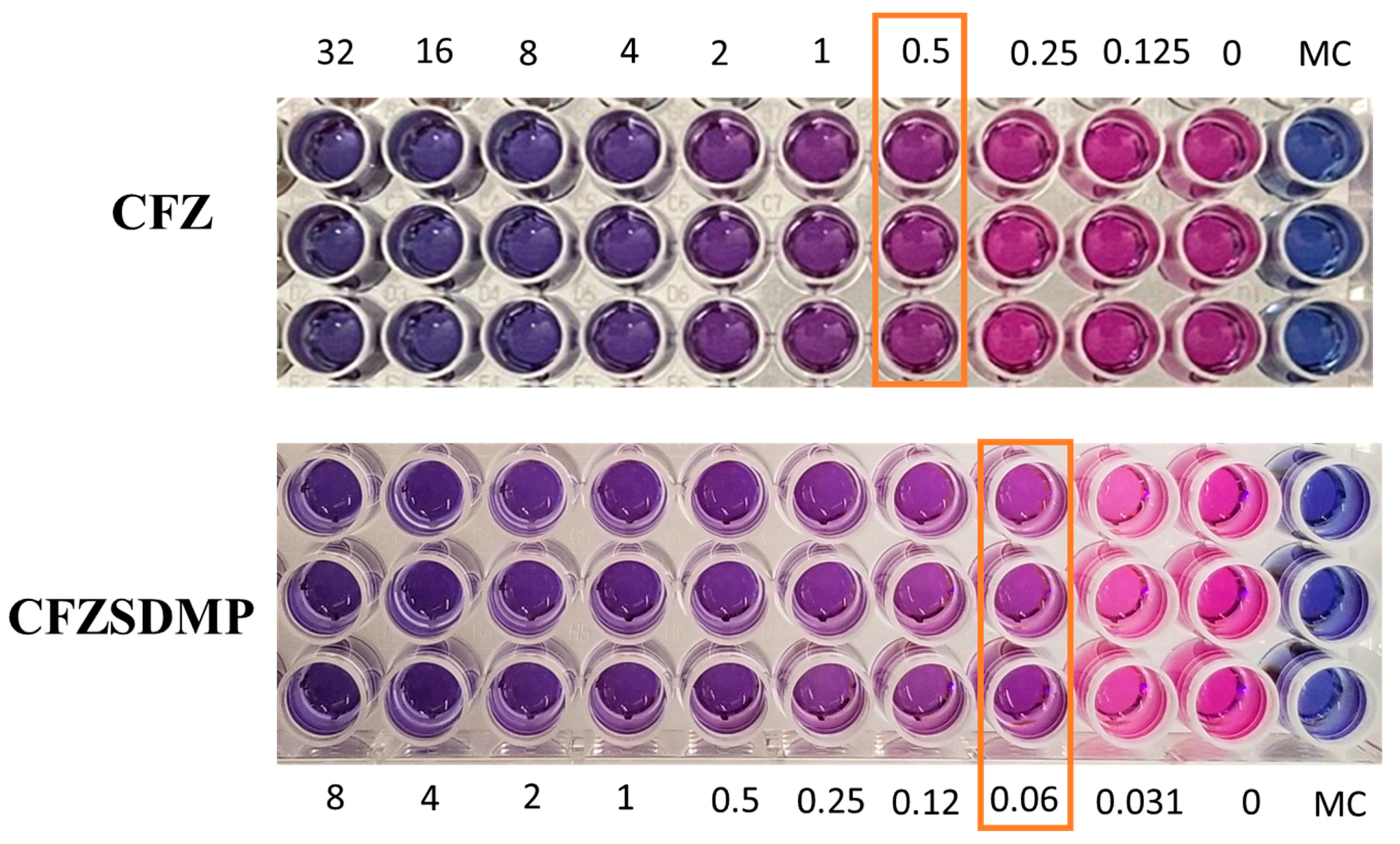 Pharmaceuticals 17 00754 g007