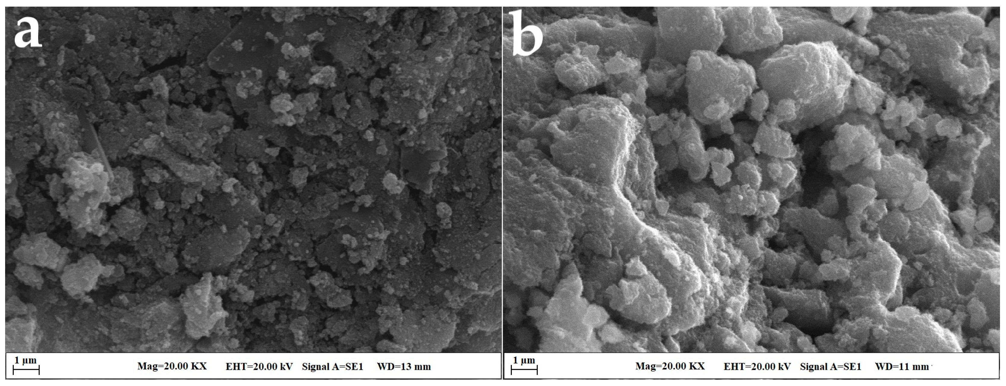 Pharmaceuticals 17 00772 g002