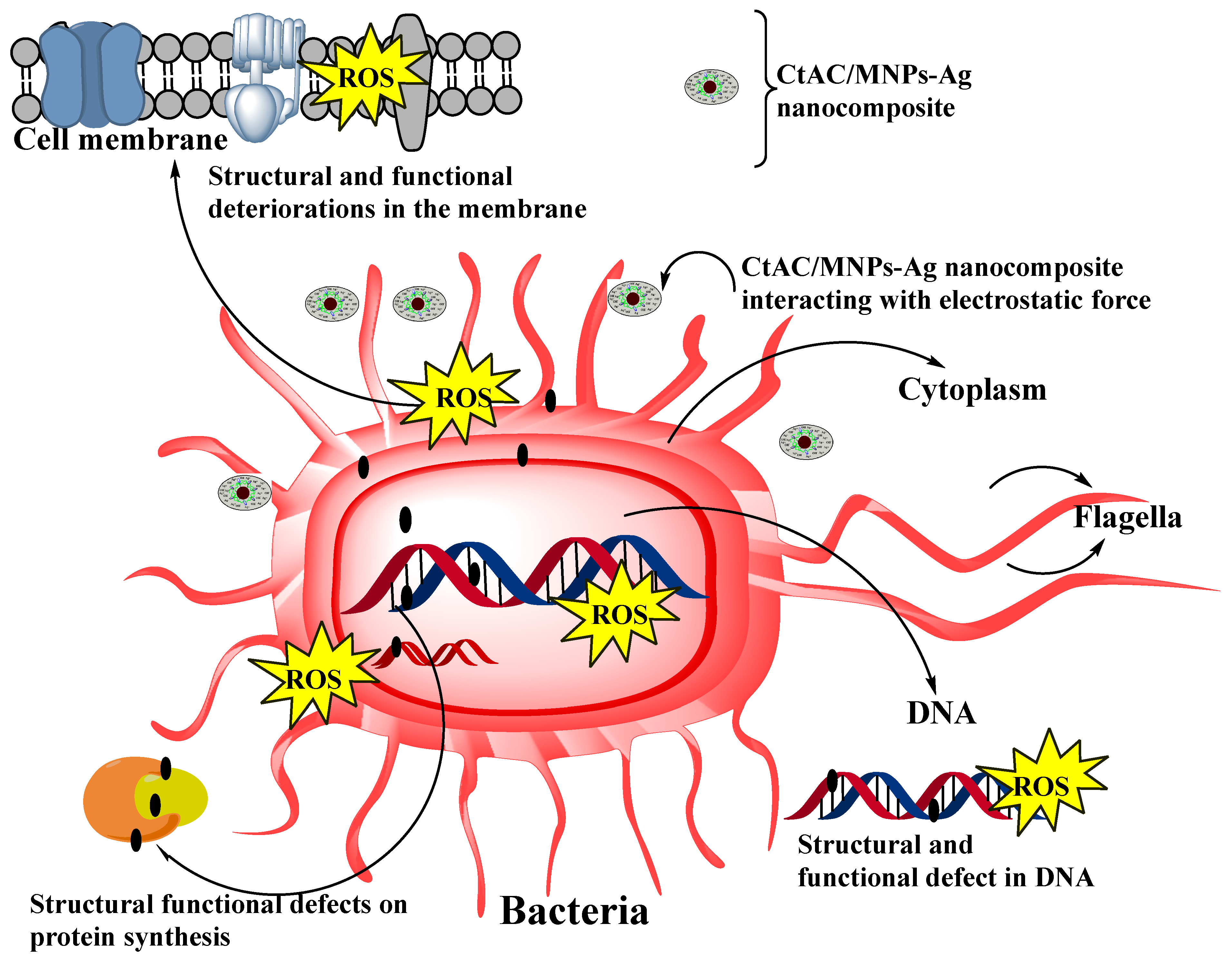 Pharmaceuticals 17 00772 g008