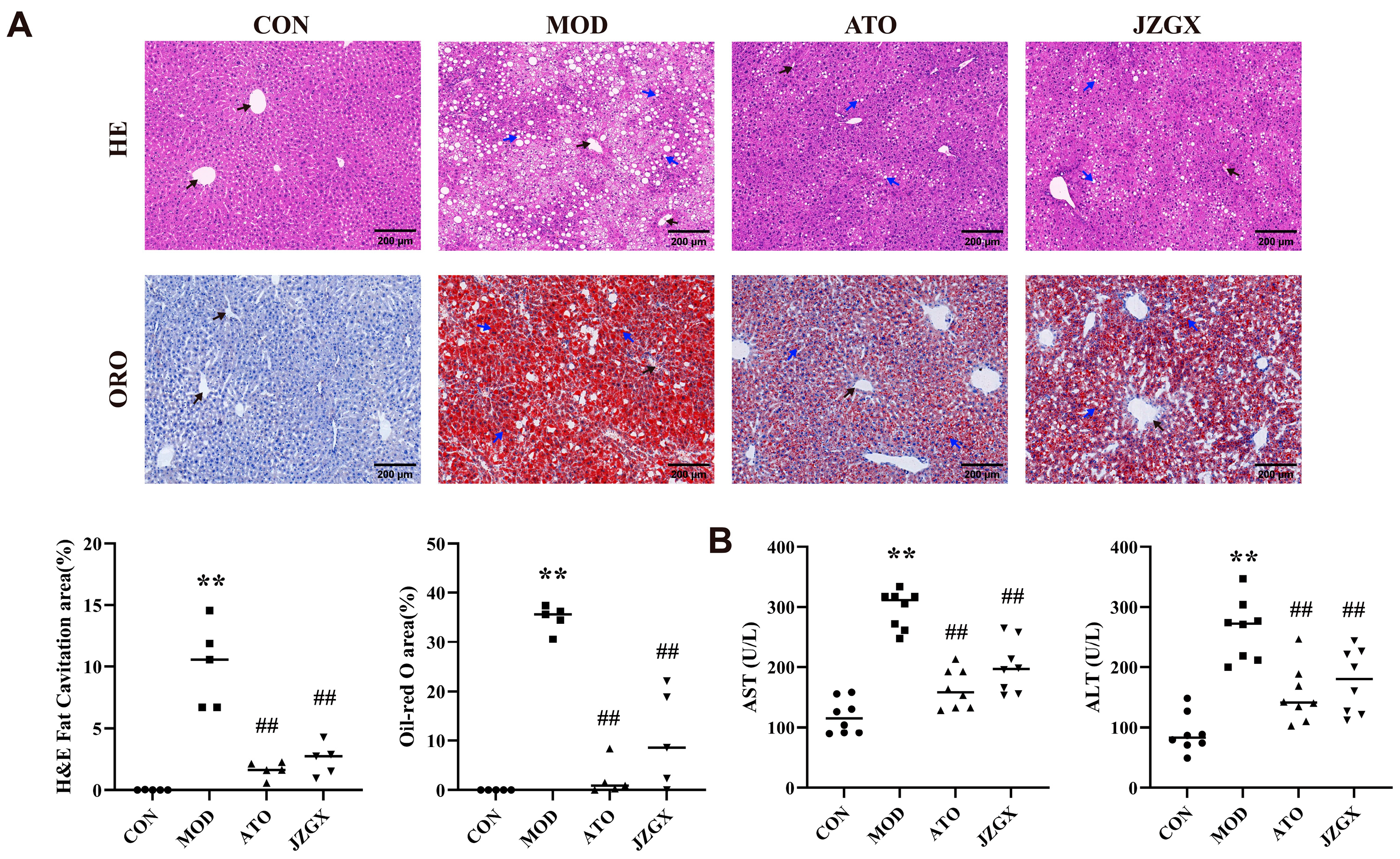 Pharmaceuticals 17 00784 g006