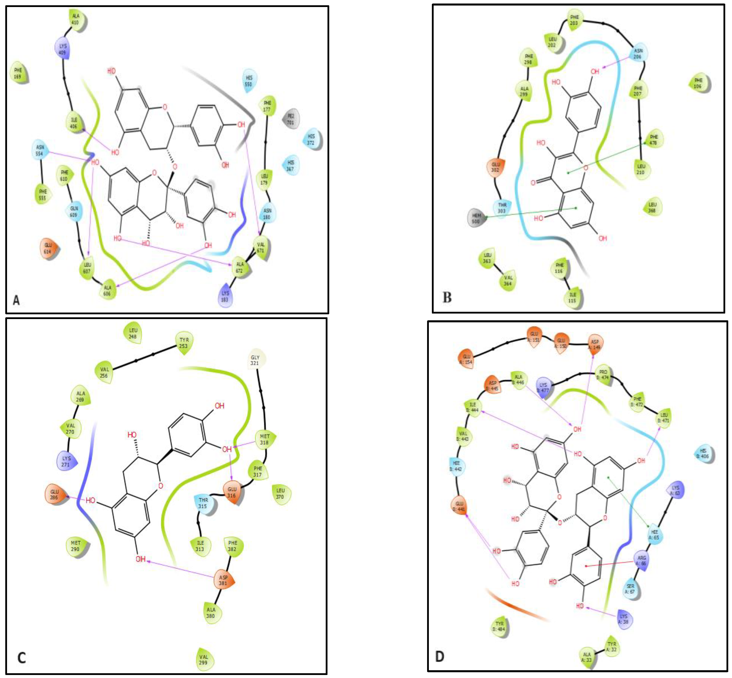 Pharmaceuticals 17 00786 g005a