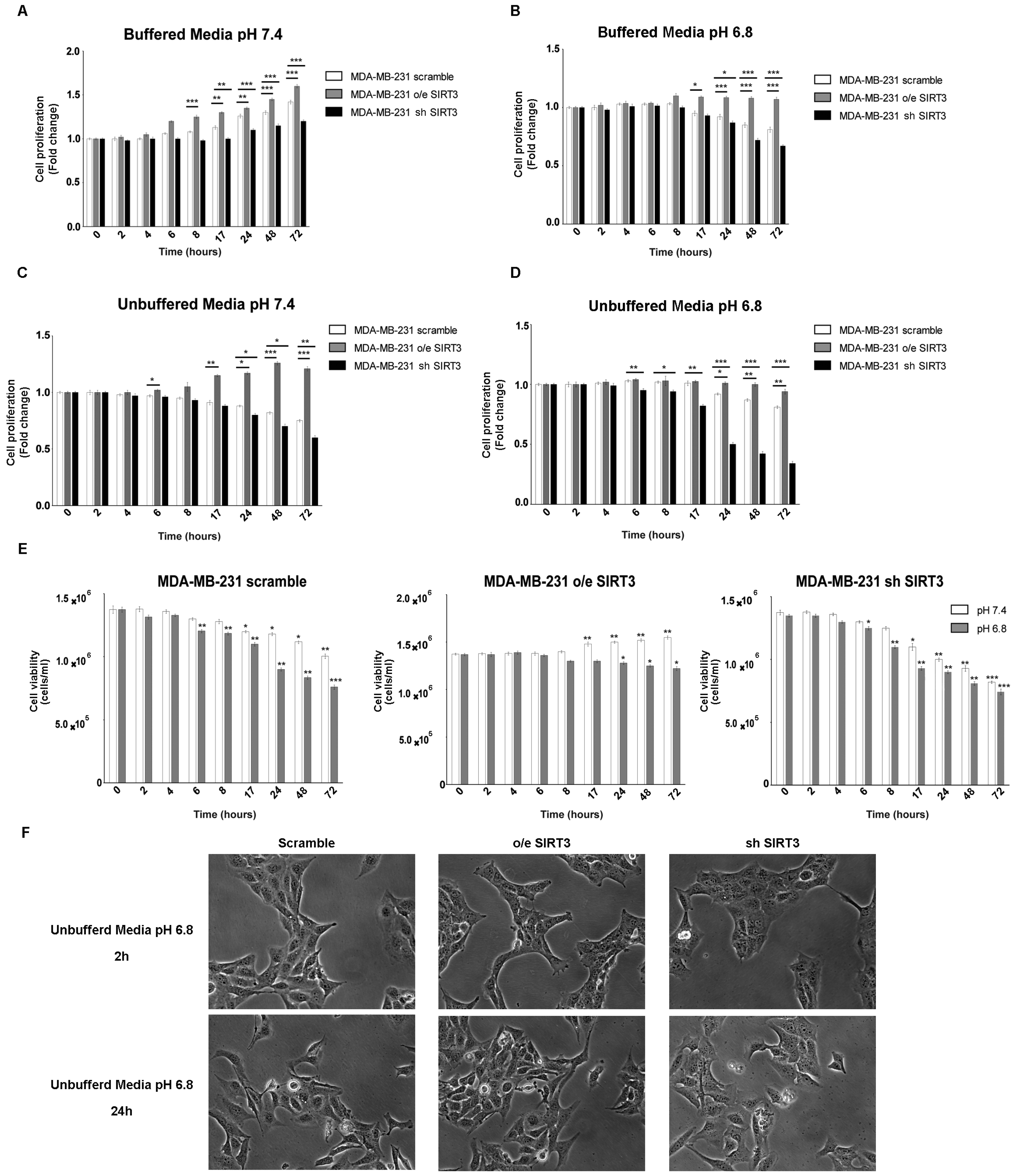 Pharmaceuticals 17 00810 g001