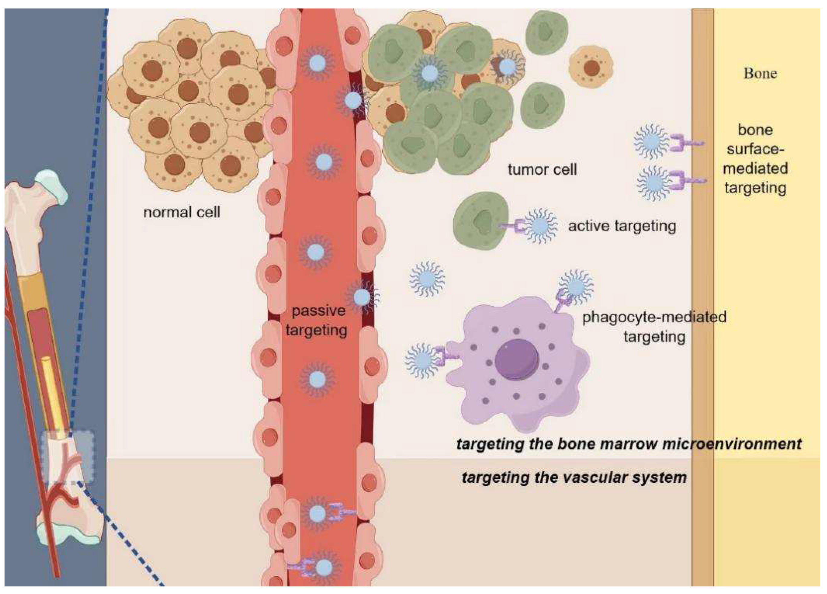 Pharmaceuticals 17 00832 g001