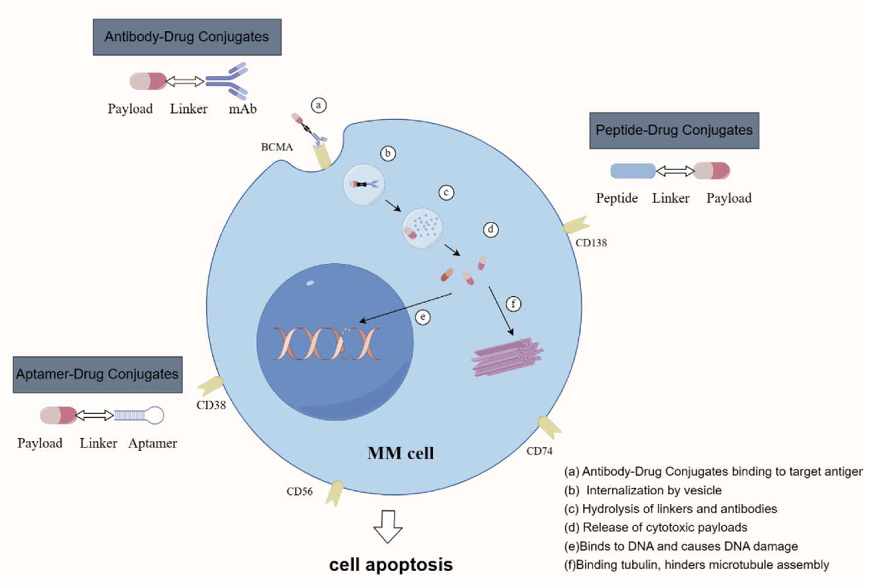 Pharmaceuticals 17 00832 g002